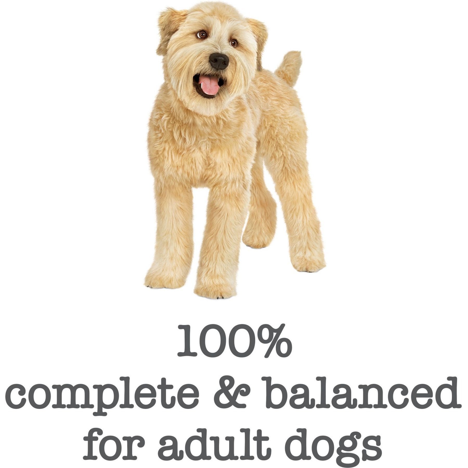 Purina Beneful Medleys Tuscan Style Canned Dog Food