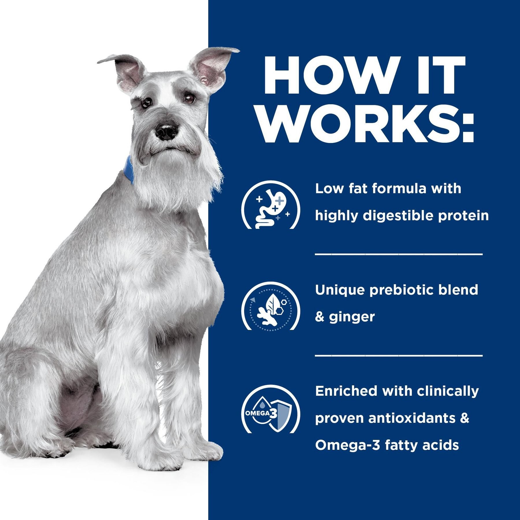 Hill's Prescription Diet i/d Digestive Care Low Fat Rice, Vegetable & Chicken Stew Wet Dog Food