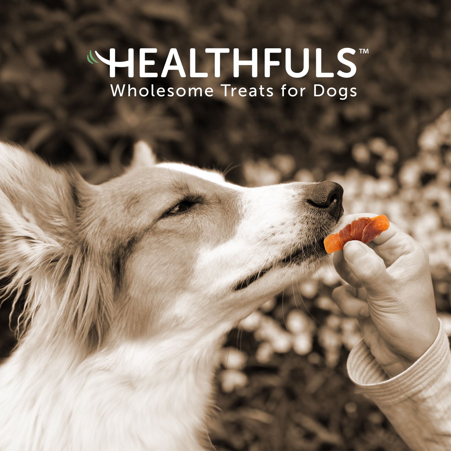 Healthfuls Sweet Potato & Chicken Wraps Dehydrated Dog Treats