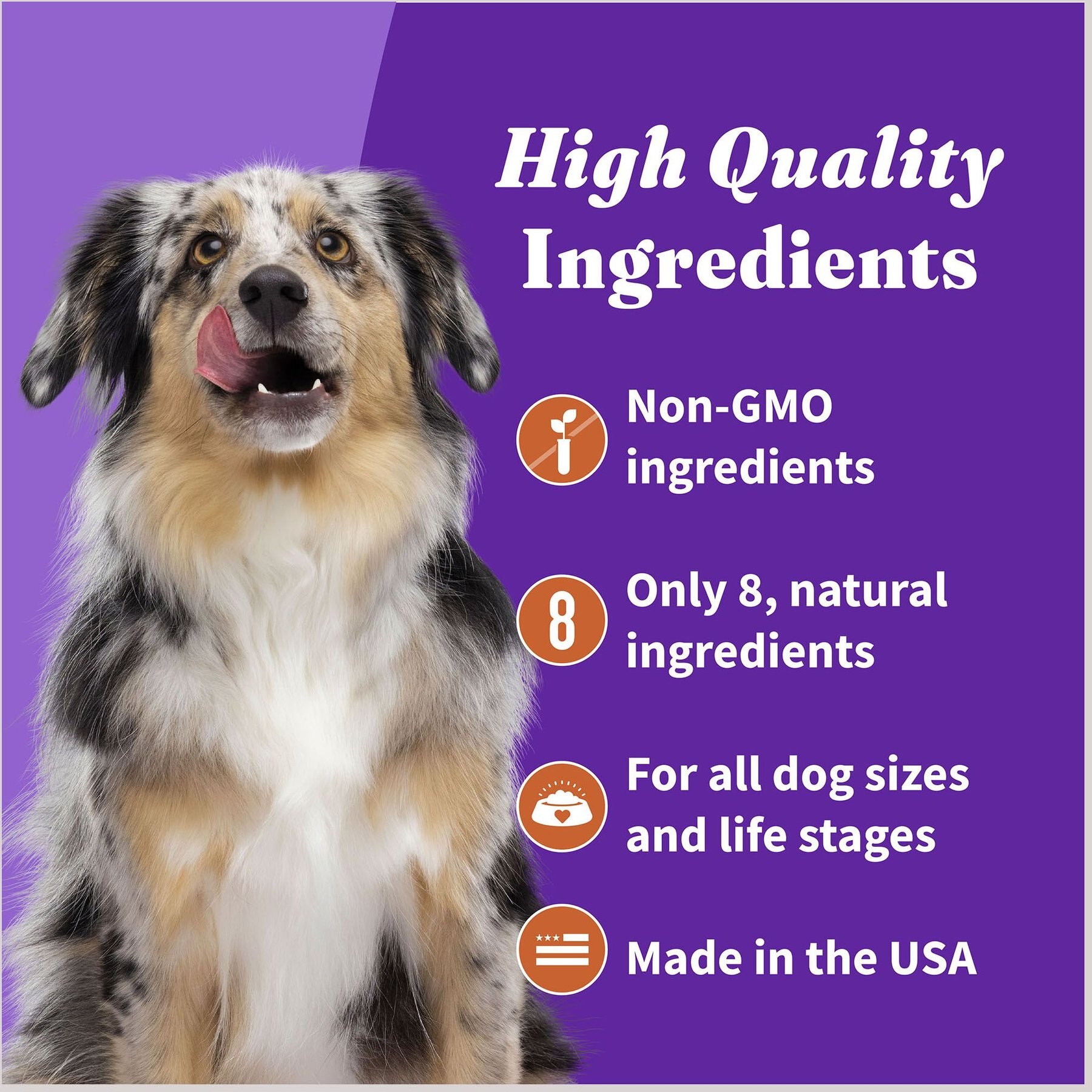 Halo Plant-Based Dog Treats with Sweet Potato & Carrots, Vegan Dog Treats