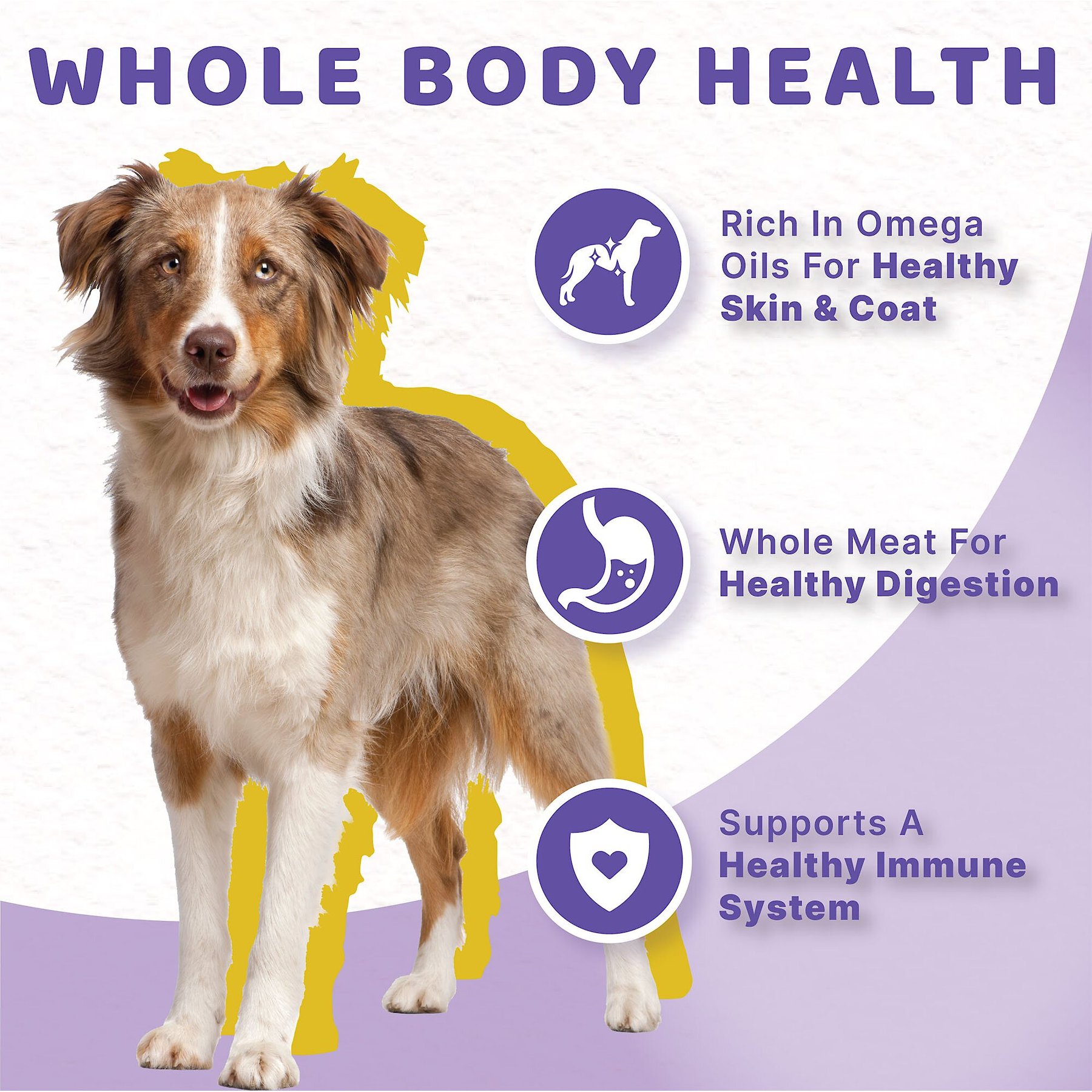 Halo Holistic Turkey & Salmon Recipe Adult Canned Dog Food