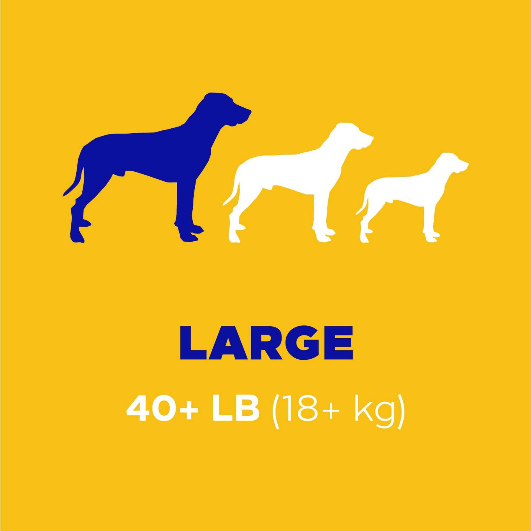 Pedigree Dentastix Large Original Chicken Flavor Dental Dog Treats