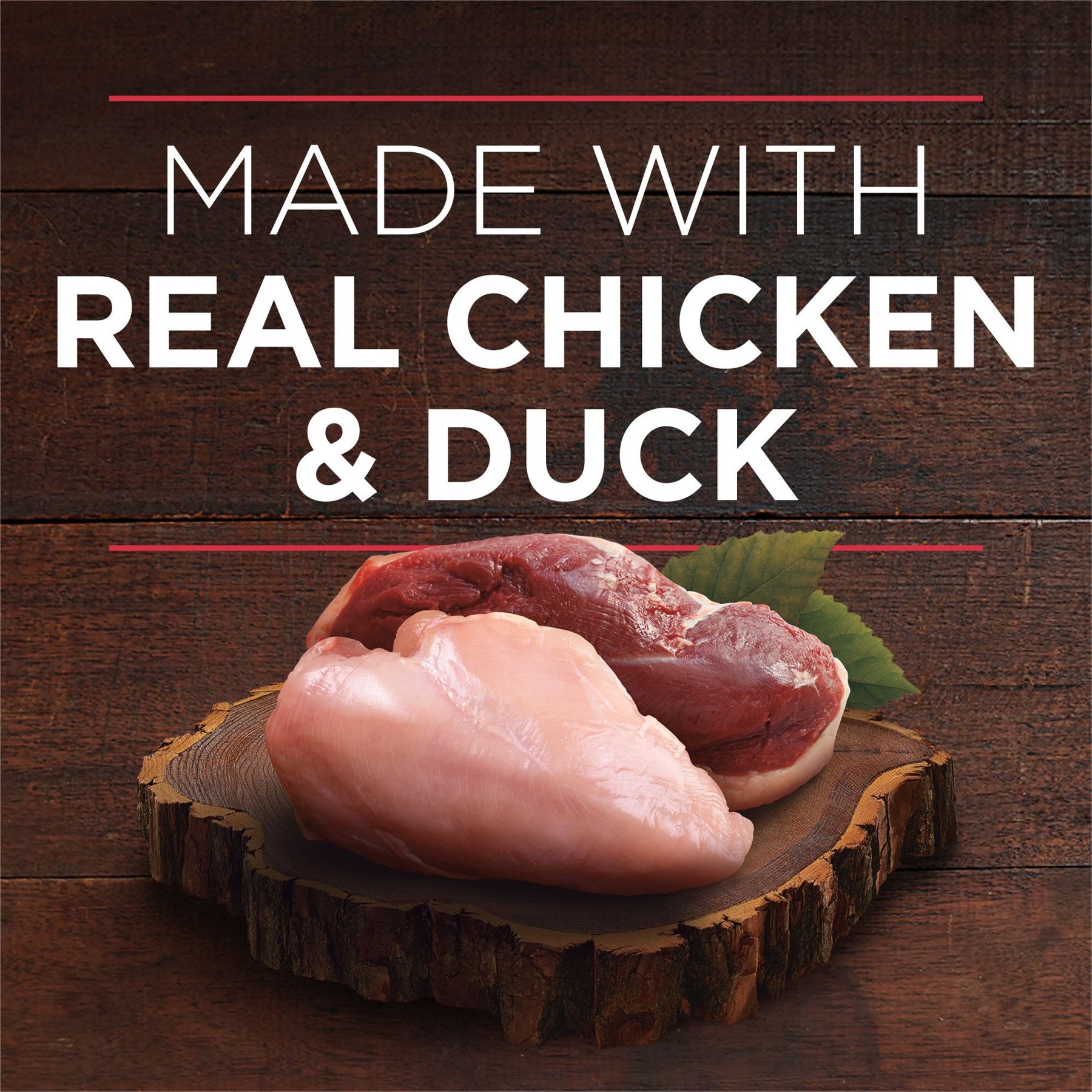 Purina ONE SmartBlend True Instinct Tender Cuts in Gravy with Real Chicken & Duck Canned Dog Food