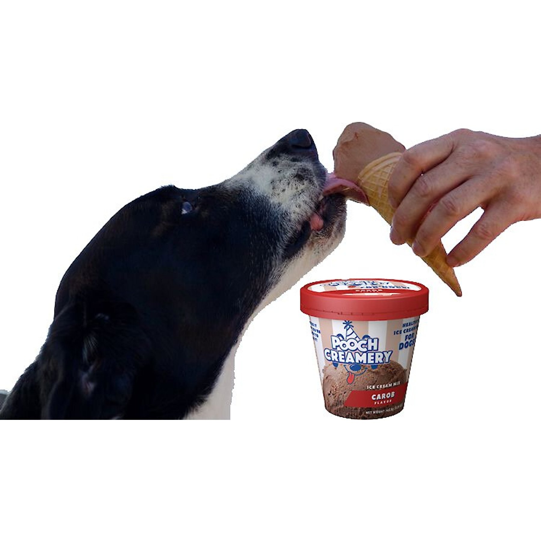 Pooch Creamery Carob Flavor Ice Cream Mix Dog Treat