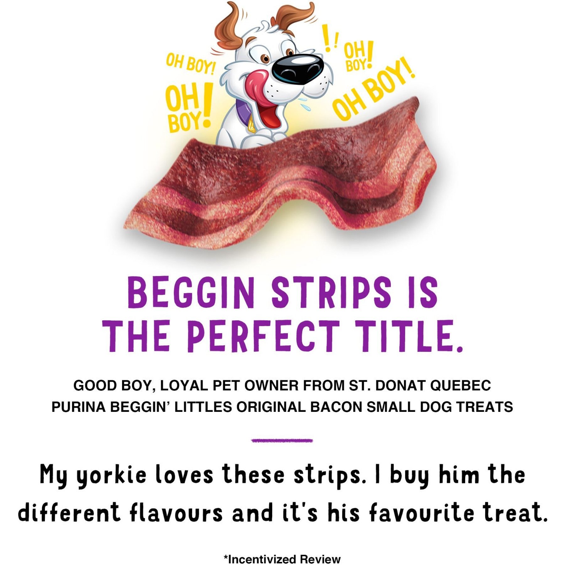 Purina Beggin' Real Meat Fun Size Original with Bacon Flavored Dog Treats