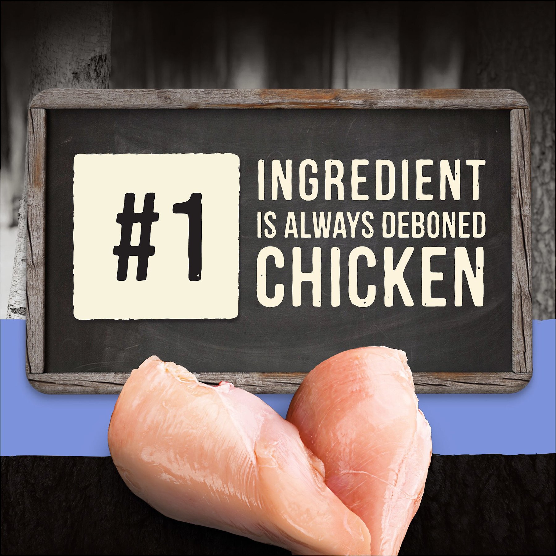 Merrick Backcountry Grain-Free Wet Dog Food 96% Real Chicken Recipe