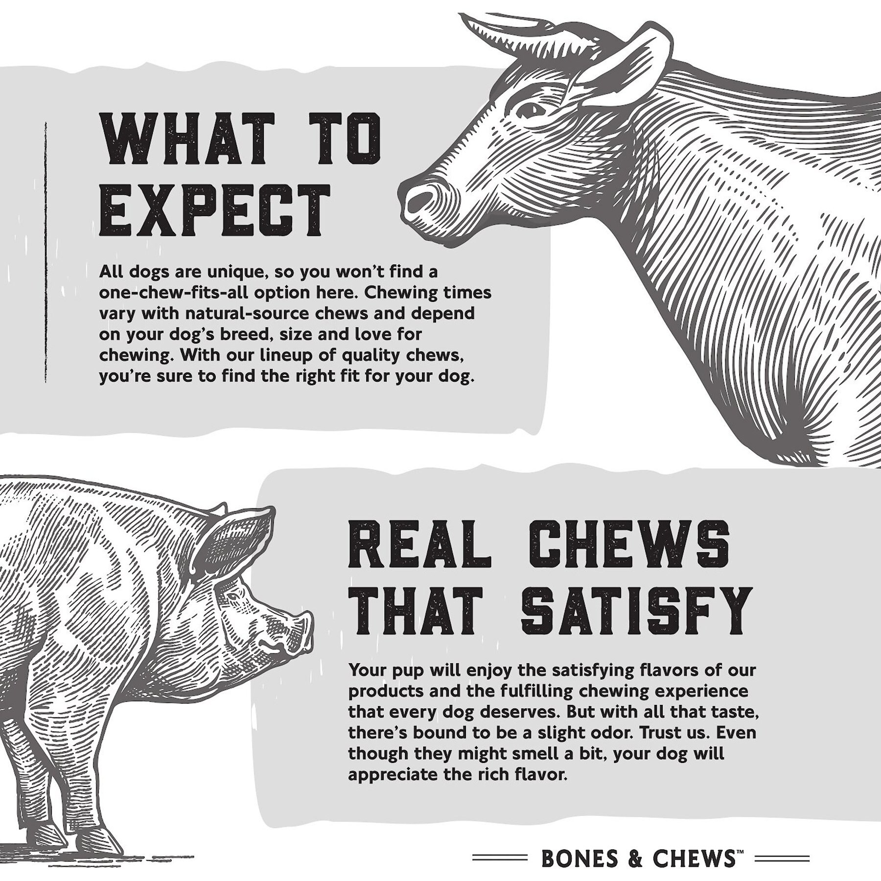 Bones & Chews Made in USA Cheese & Bacon Flavored Filled Beef Hooves Dog Treats