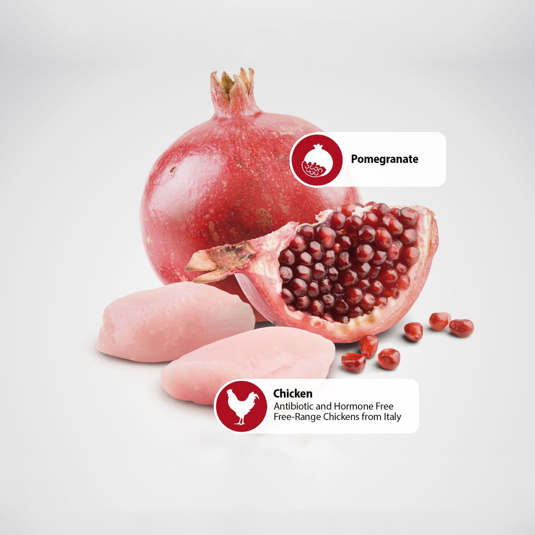 Farmina Natural & Delicious Prime Chicken & Pomegranate Canned Dog Food