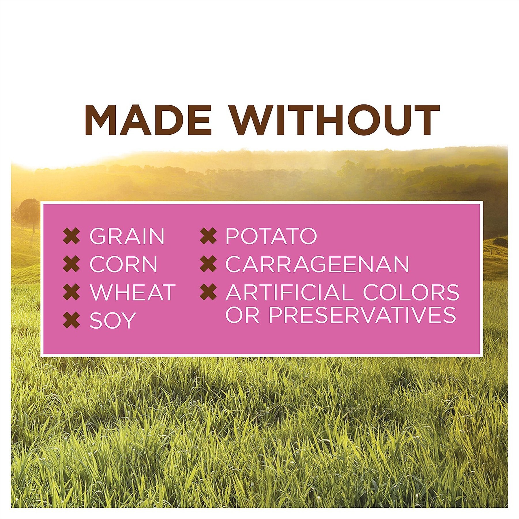 Instinct Original Small Breed Grain-Free Real Beef Recipe Wet Dog Food