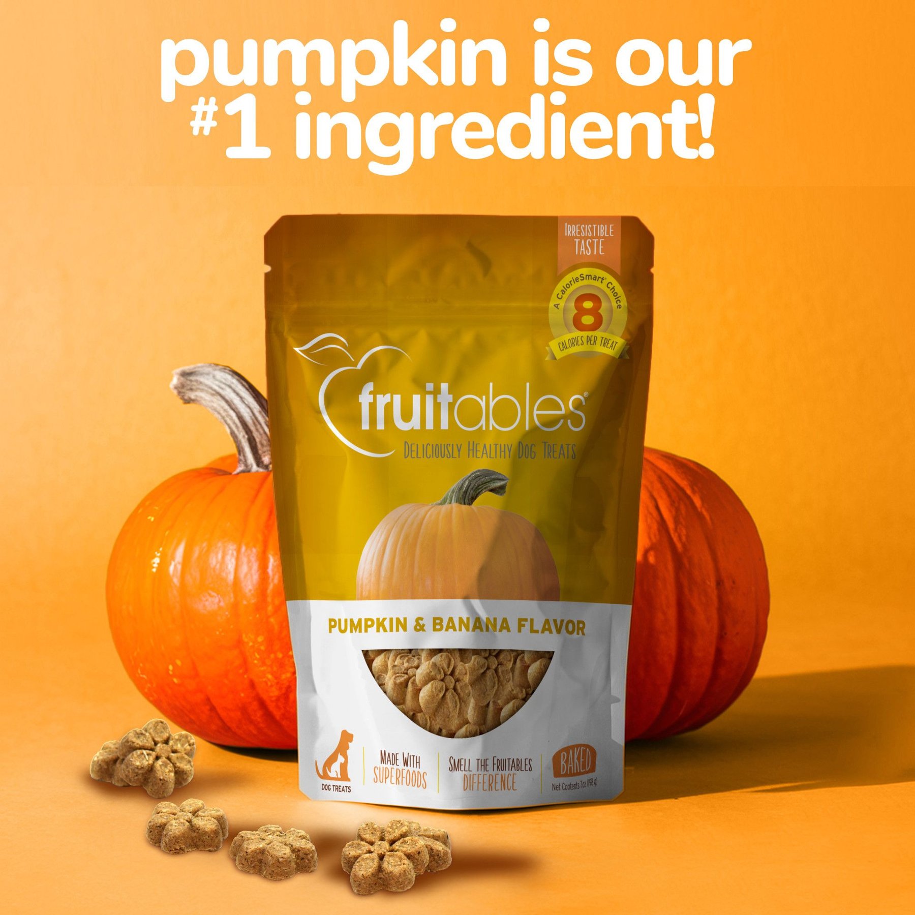 Fruitables Pumpkin & Banana Flavor Dog Treats