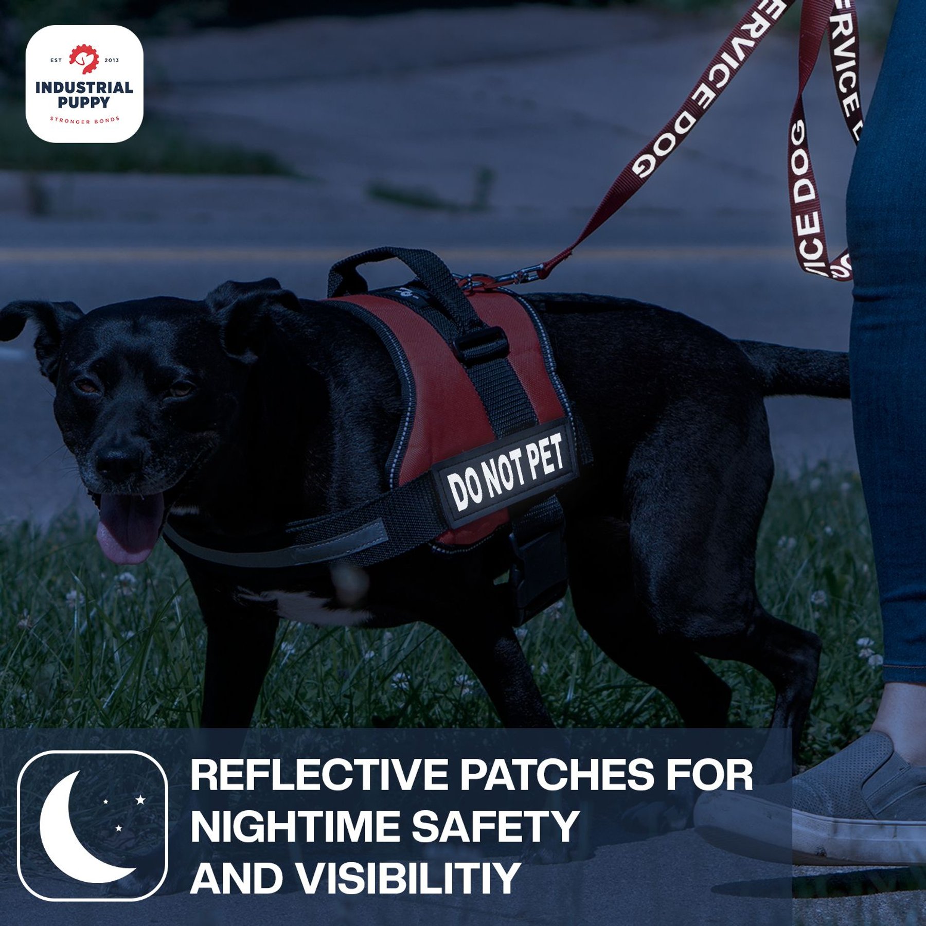 Industrial Puppy Do Not Pet Dog Patches