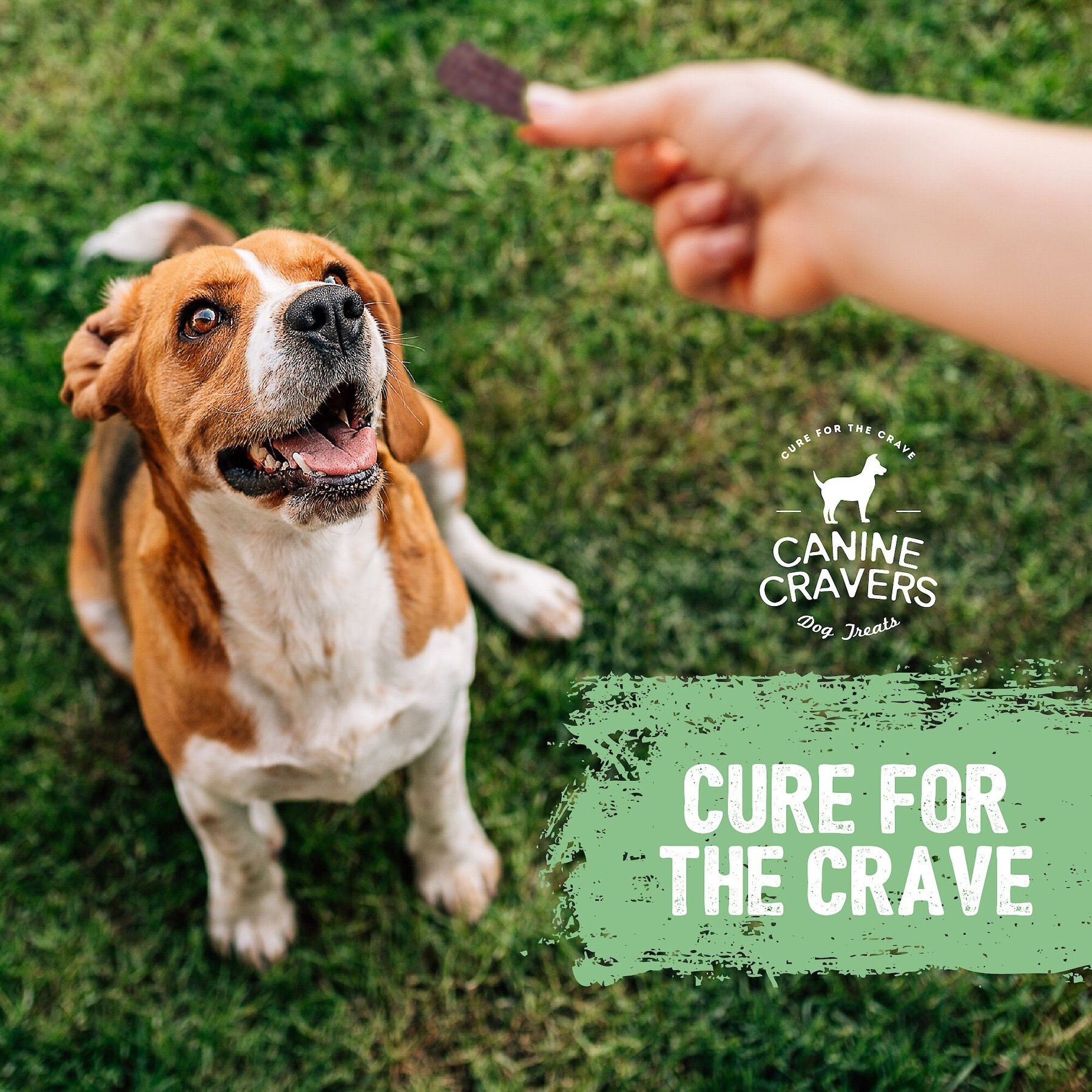 Canine Cravers Premium Beef Fillets Dehydrated Dog Treats, 5.3-oz pouch