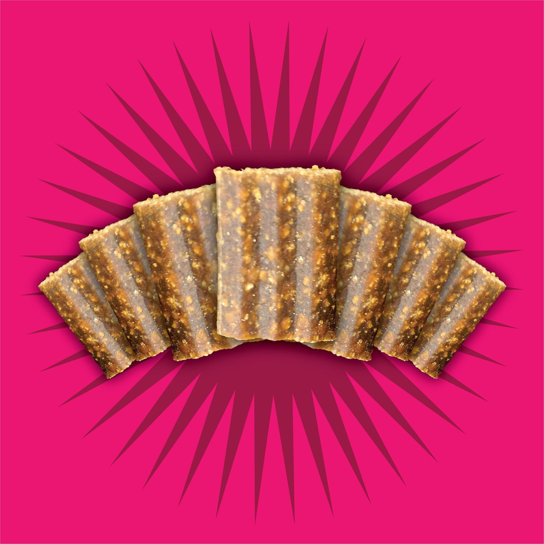 Triumph Free Spirit Jerky Bites Deboned Salmon & Vegetable Dog Treats