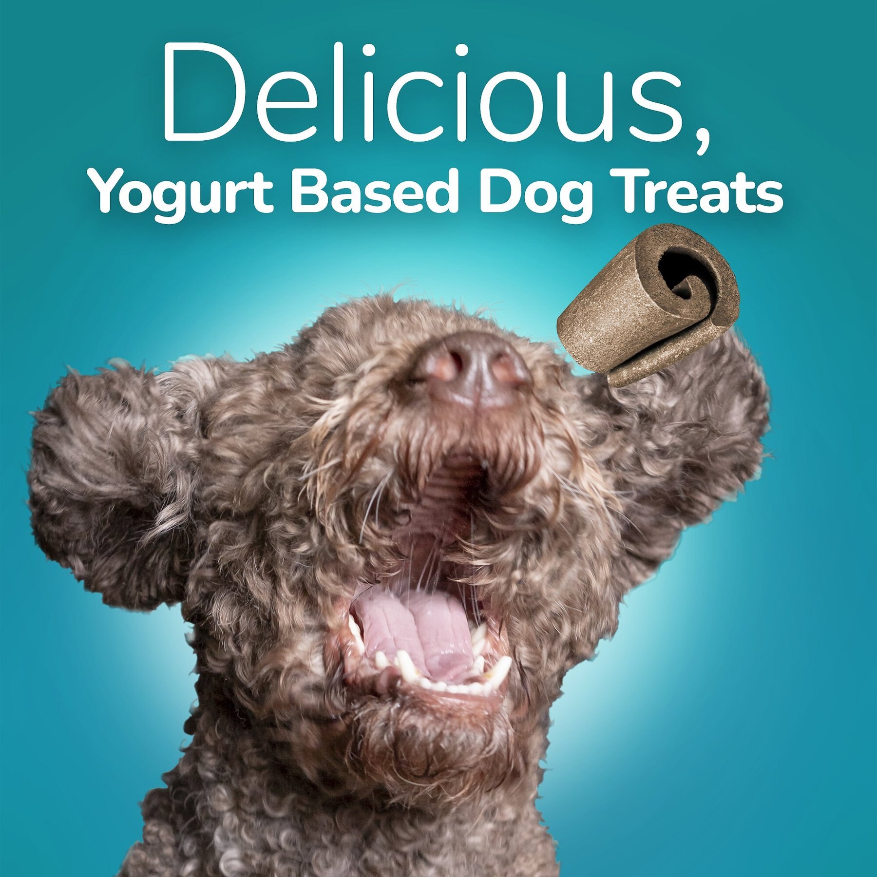 Fruitables Yogos Coconut Flavor Grain-Free Dog Treats, 12-oz pouch