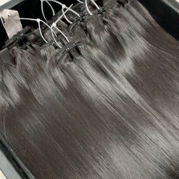 Straight Vietnamese Raw Human Hair Bundles Hair Wefts Unprocessed Natural Color Hair Extension 1 Bundles Deal