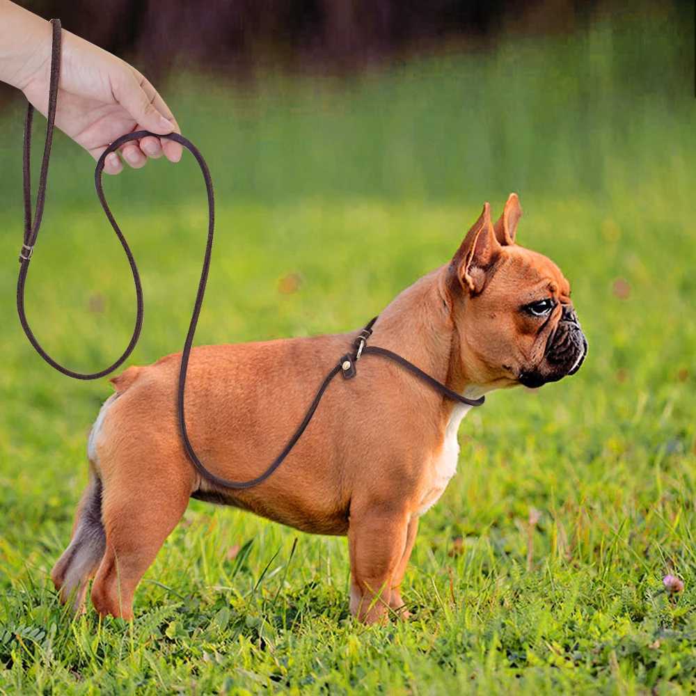 4ft/5ft Leather Dog Leash P Chian Collar Traction Lead Rope For Chihuahua Bulldog Small Dogs Leashes Slip Collars Pet SuppliesXJ241114