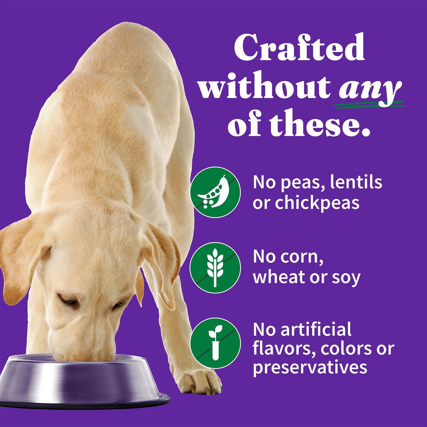 Halo Elevate Smoky BBQ Shredded Chicken Stew with Sweet Potatoes & Green Beans Grain-Free Wet Dog Food, 12.7-oz can, case of 6