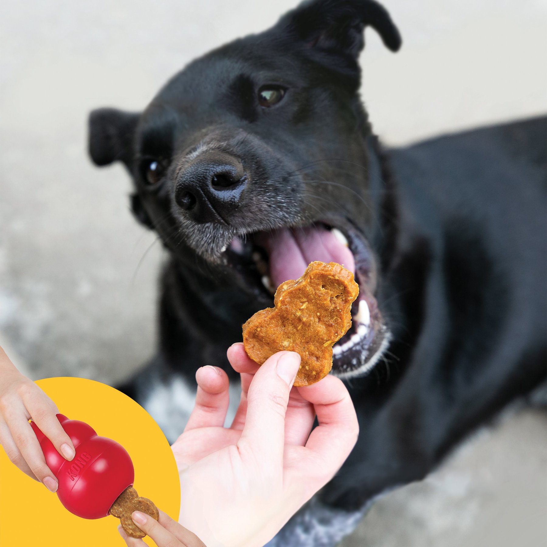 KONG Jerky Chicken Recipe Grain-Free Dog Small/Medium Treats, 5-oz pouch