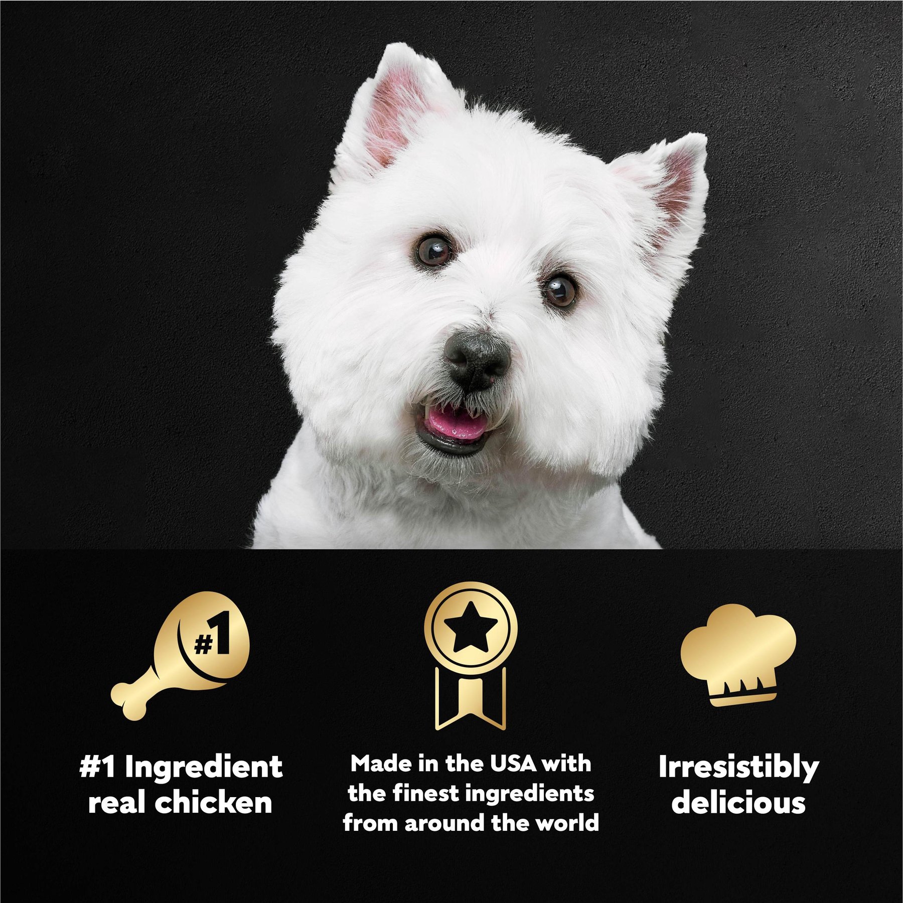 Cesar Classic Loaf in Sauce Chicken & Liver Recipe Grain-Free Small Breed Adult Wet Dog Food Trays