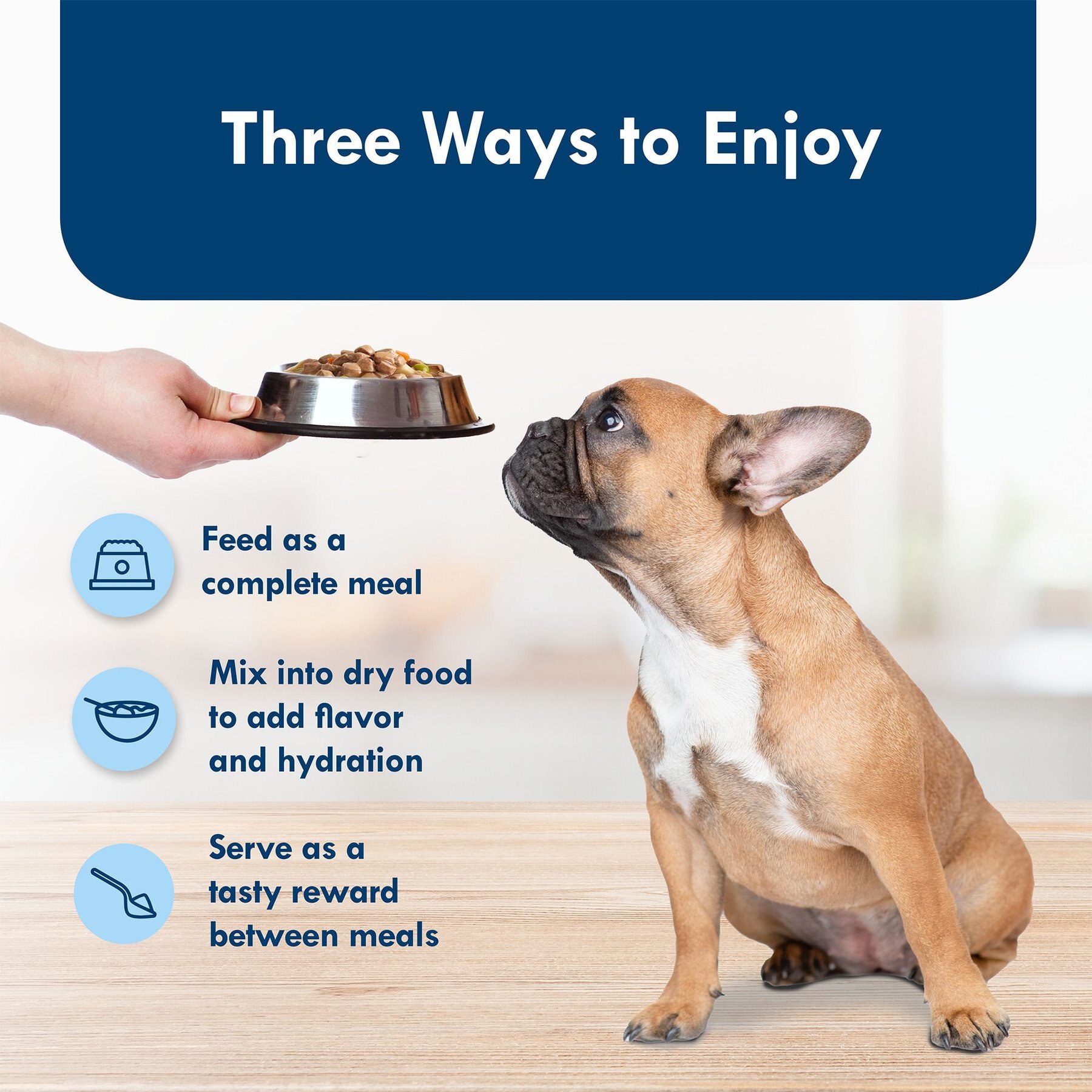 Blue Buffalo Divine Delights Rotisserie Chicken Flavor in Hearty Gravy Small Breed Wet Dog Food