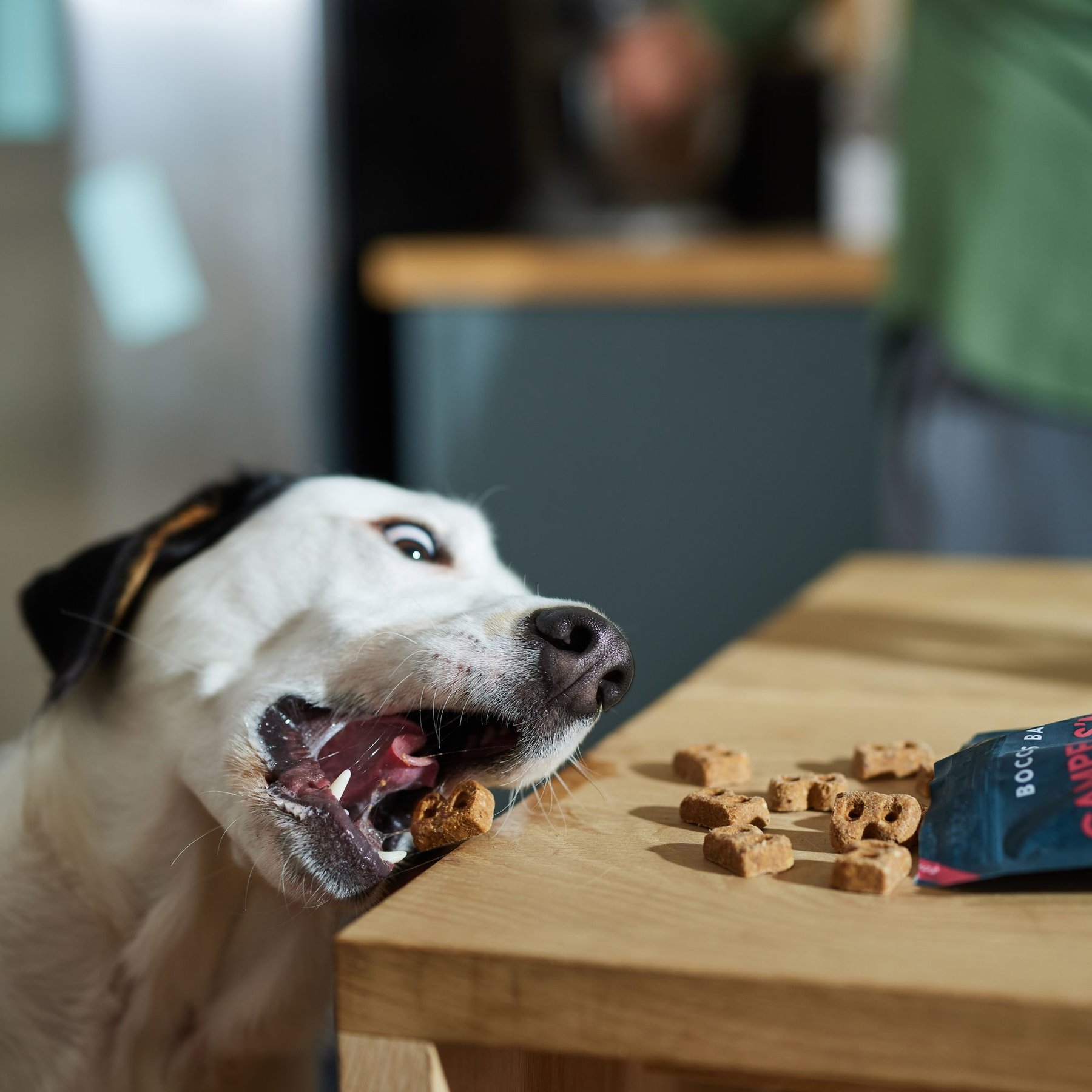 Bocce's Bakery Campfire S'mores Peanut Butter, Carob & Vanilla Recipe Dog Treats, 6-oz bag