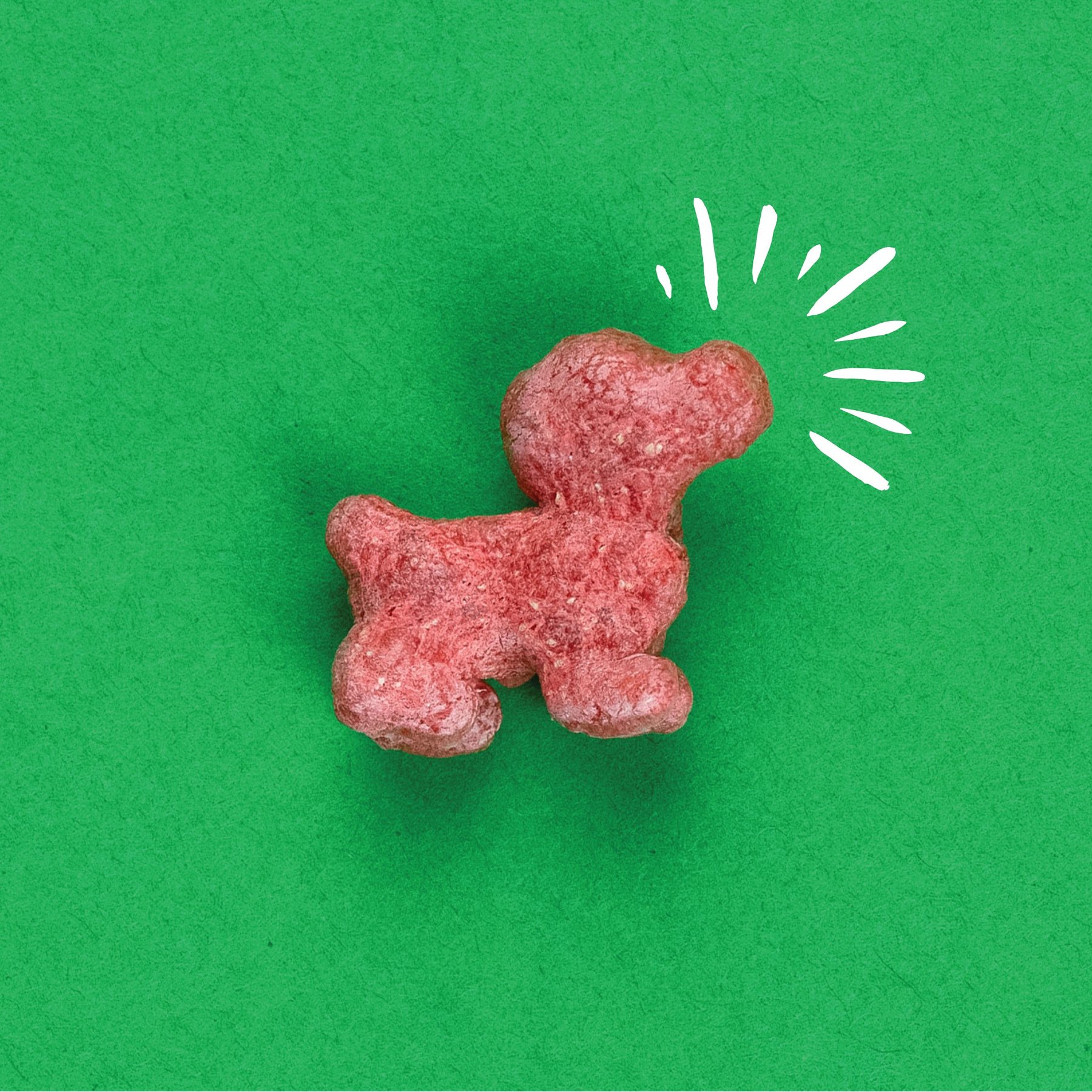 PupCorn Plus Salmon & Sweet Potato Dog Treats, 24.5-oz bag