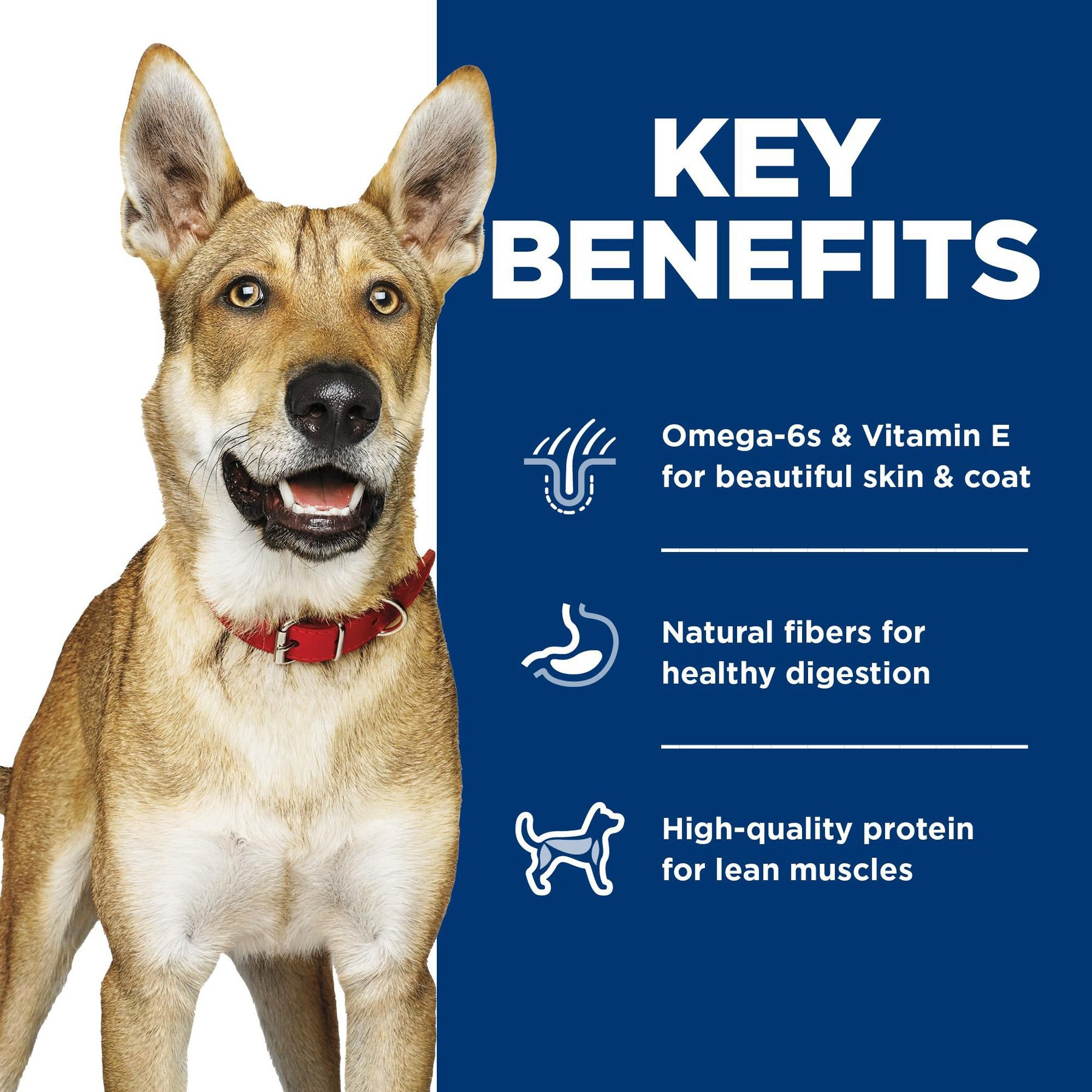 Hill's Science Diet Variety Pack Adult Canned Dog Food, 13-oz, case of 12