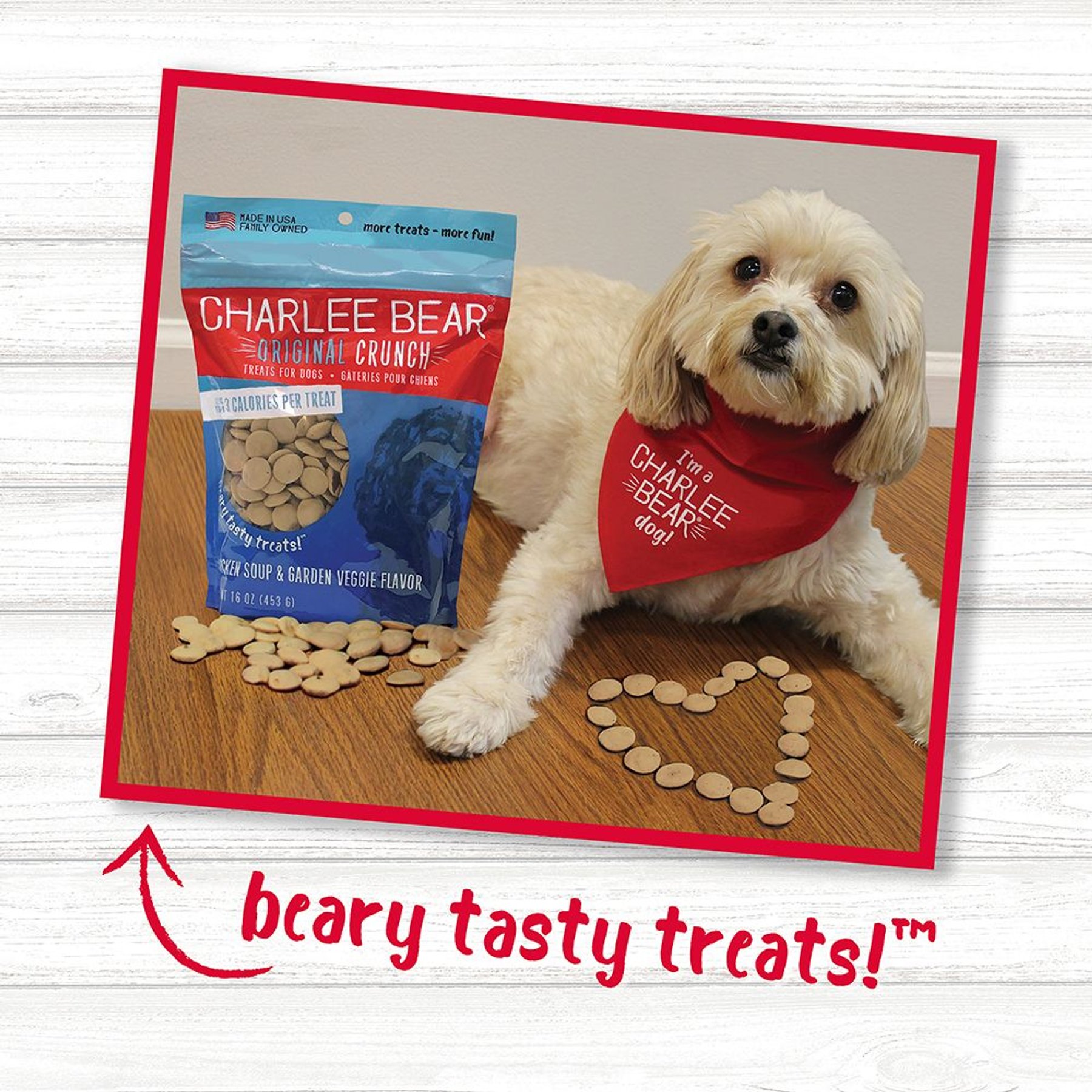 Charlee Bear Chicken Soup & Garden Veggie Flavor Dog Treats