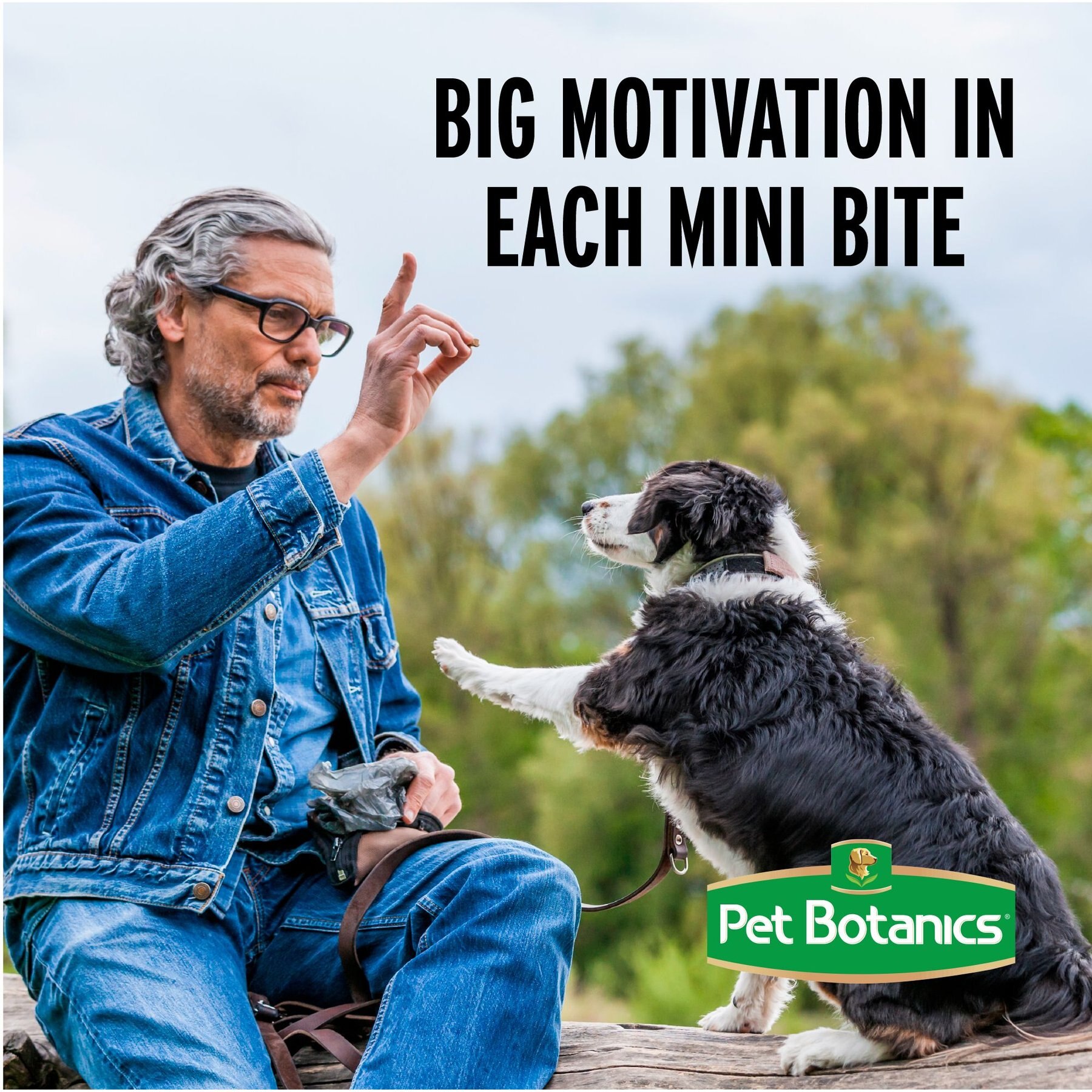 Pet Botanics Training Reward Beef Flavor Dog Treats