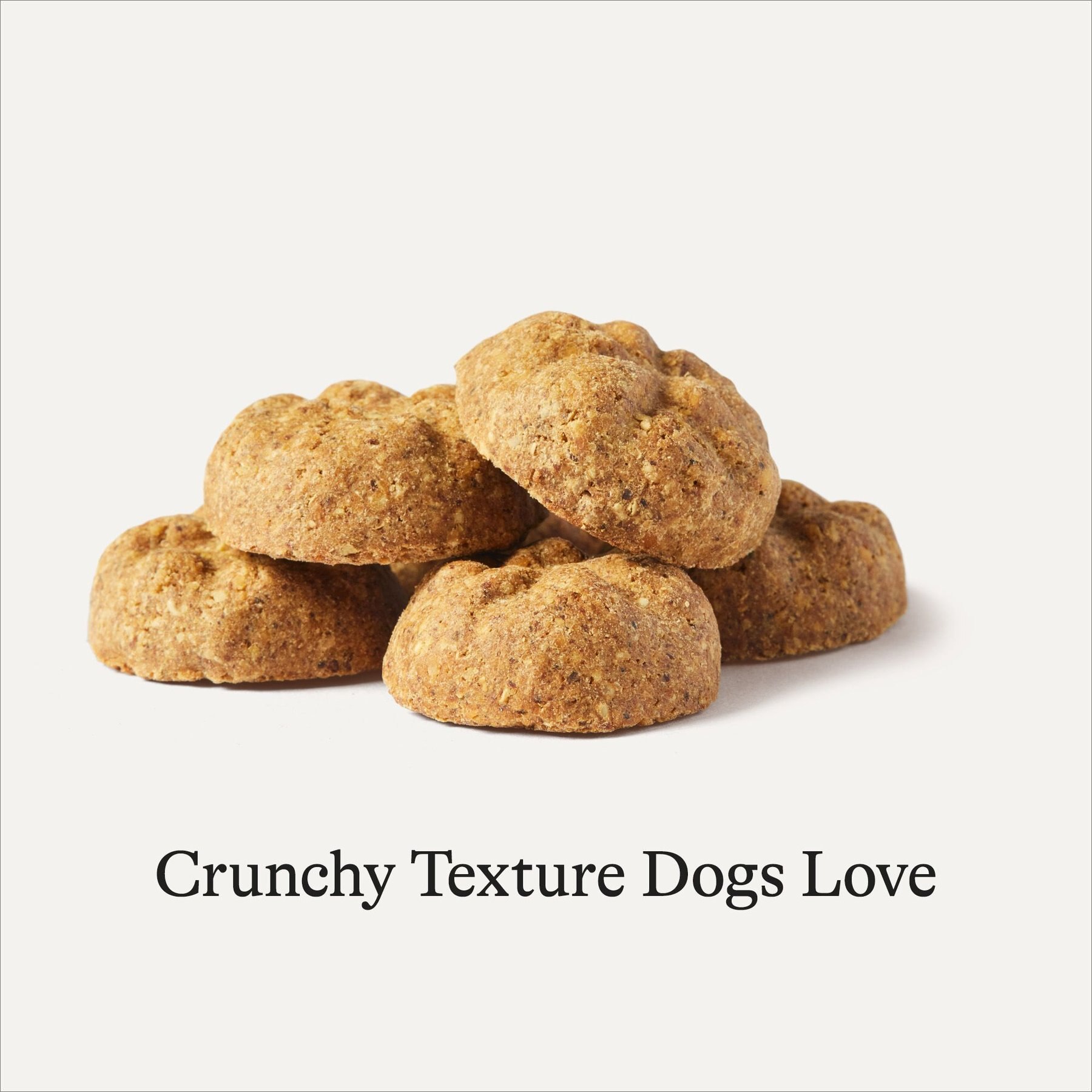 American Journey Lamb Recipe Grain-Free Oven Baked Crunchy Biscuit Dog Treats