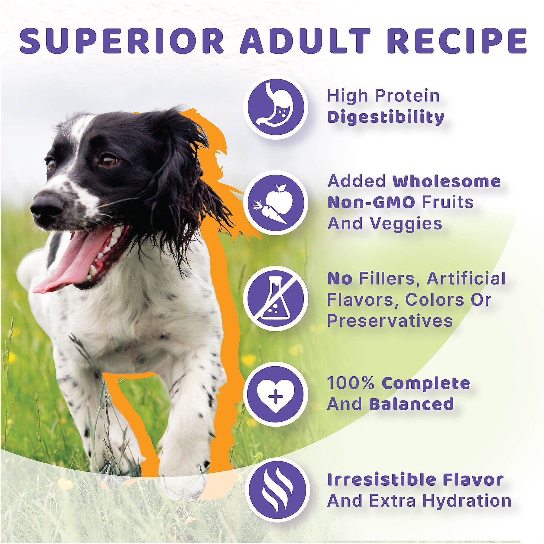 Halo Holistic Chicken Stew Adult Canned Dog Food