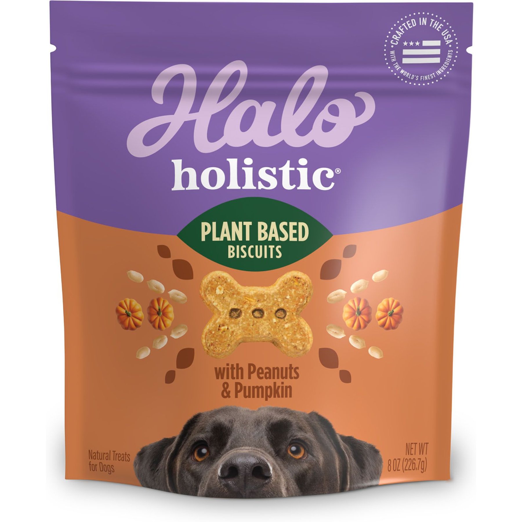 Halo Plant-Based Dog Treats with Peanuts & Pumpkin Vegan Dog Treat