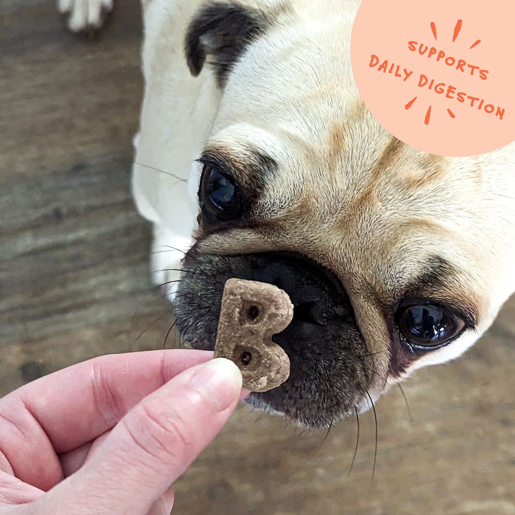 Bocce's Bakery Dailies Bye Bye Stinkies Pumpkin + Ginger Recipe Dog Treats, 6-oz pouch