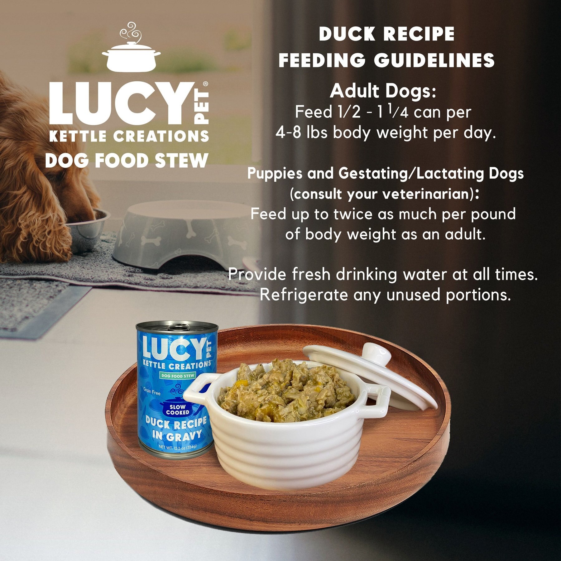 Lucy Pet Products Kettle Creations Duck Recipe in Gravy Wet Dog Food, 12.5-oz can, case of 12