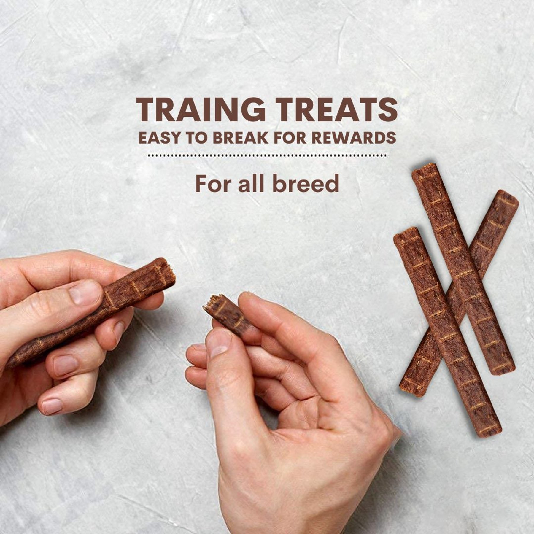 Trick or Snack Beef & Tomato Flavored Jerky Dog Treats, 1-lb bag