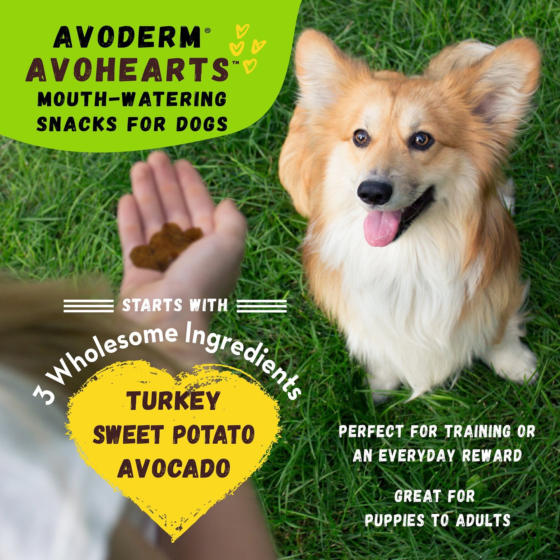AvoDerm AvoHearts Turkey & Avocado Formula Dog Treats, 5-oz bag