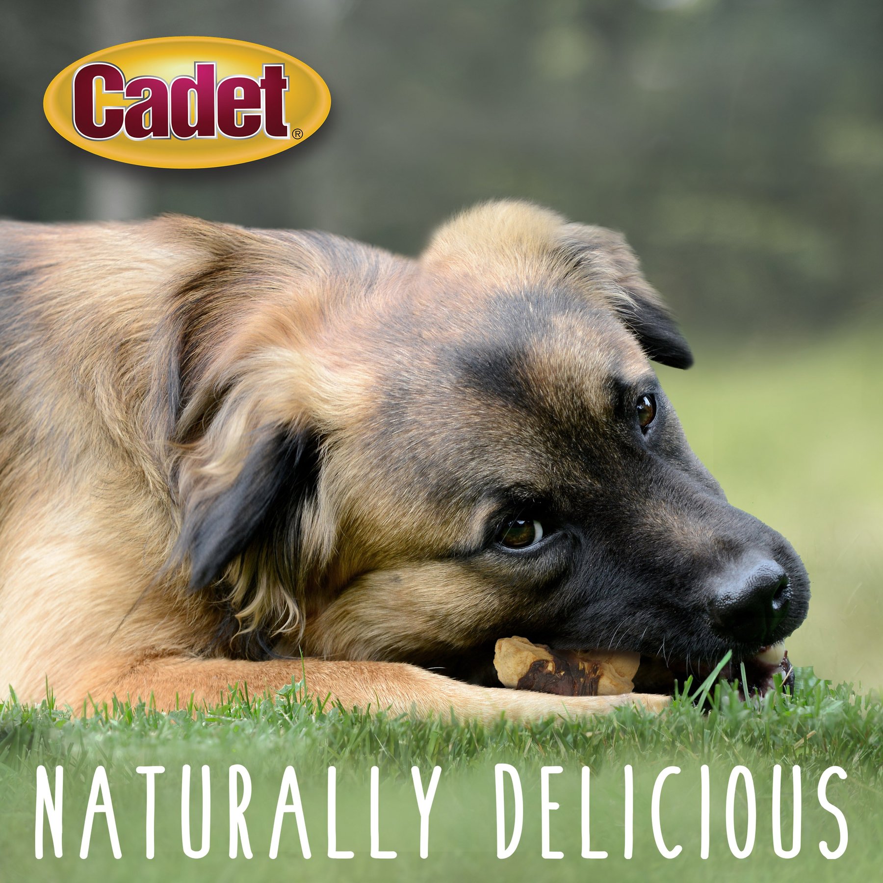 Cadet Gourmet Chicken & Apple Wrapped Dog Treats