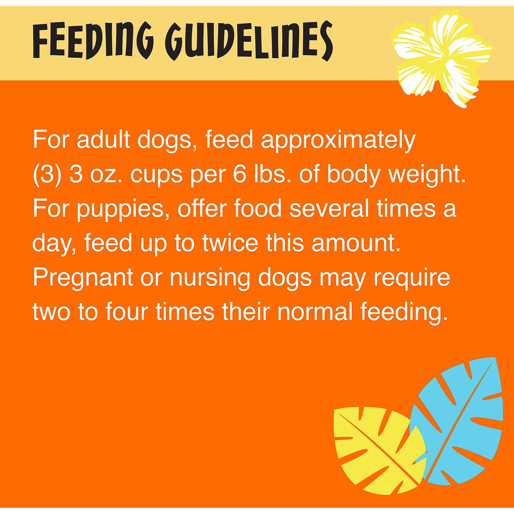 Tiki Dog Meaty High Protein Diet Chicken Recipe in Broth Grain-Free Wet Dog Food, 3-oz cup, case of 4