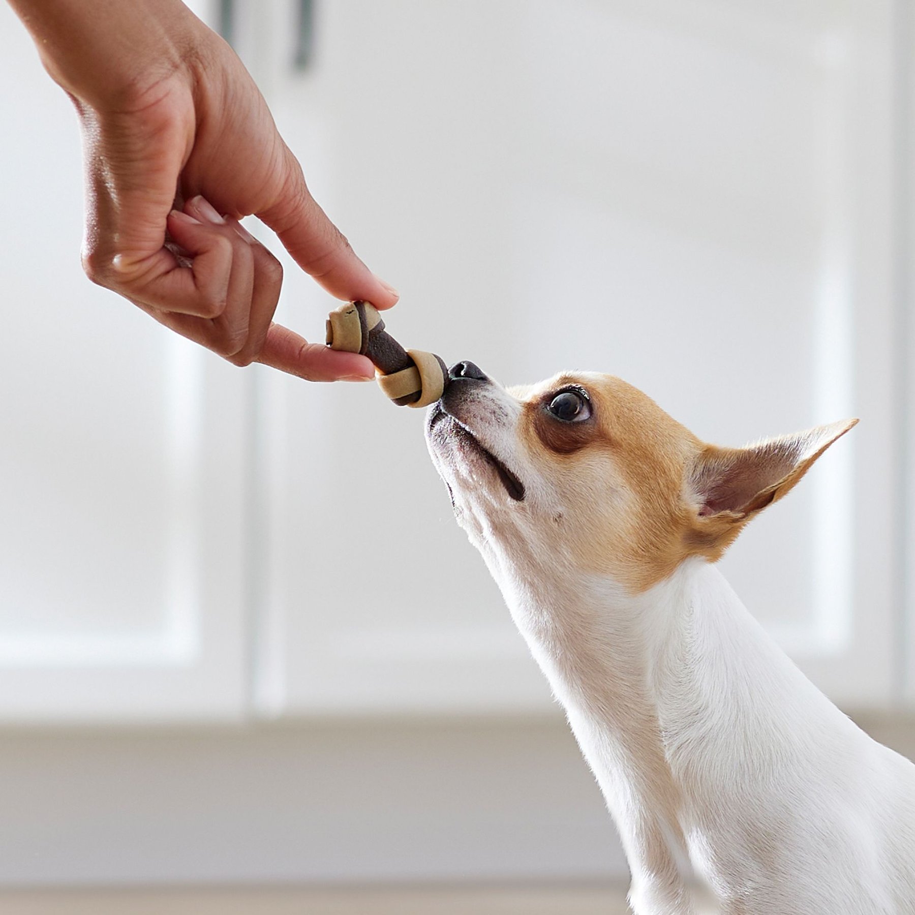 True Acre Foods, Rawhide-Free, Knotted Bones, with Natural Peanut Butter Flavor Dog Treats