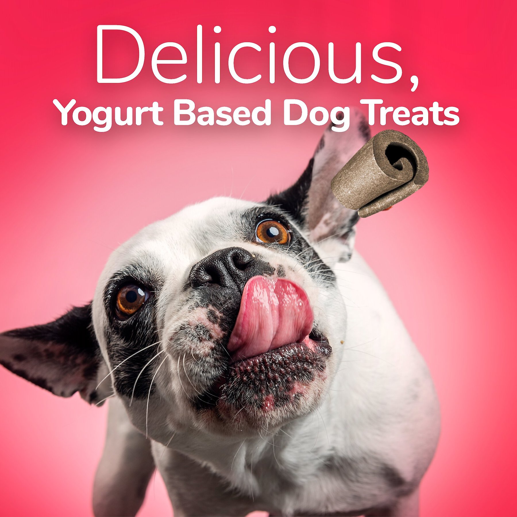 Fruitables Yogos Strawberry & Banana Flavor Grain-Free Dog Treats, 12-oz pouch