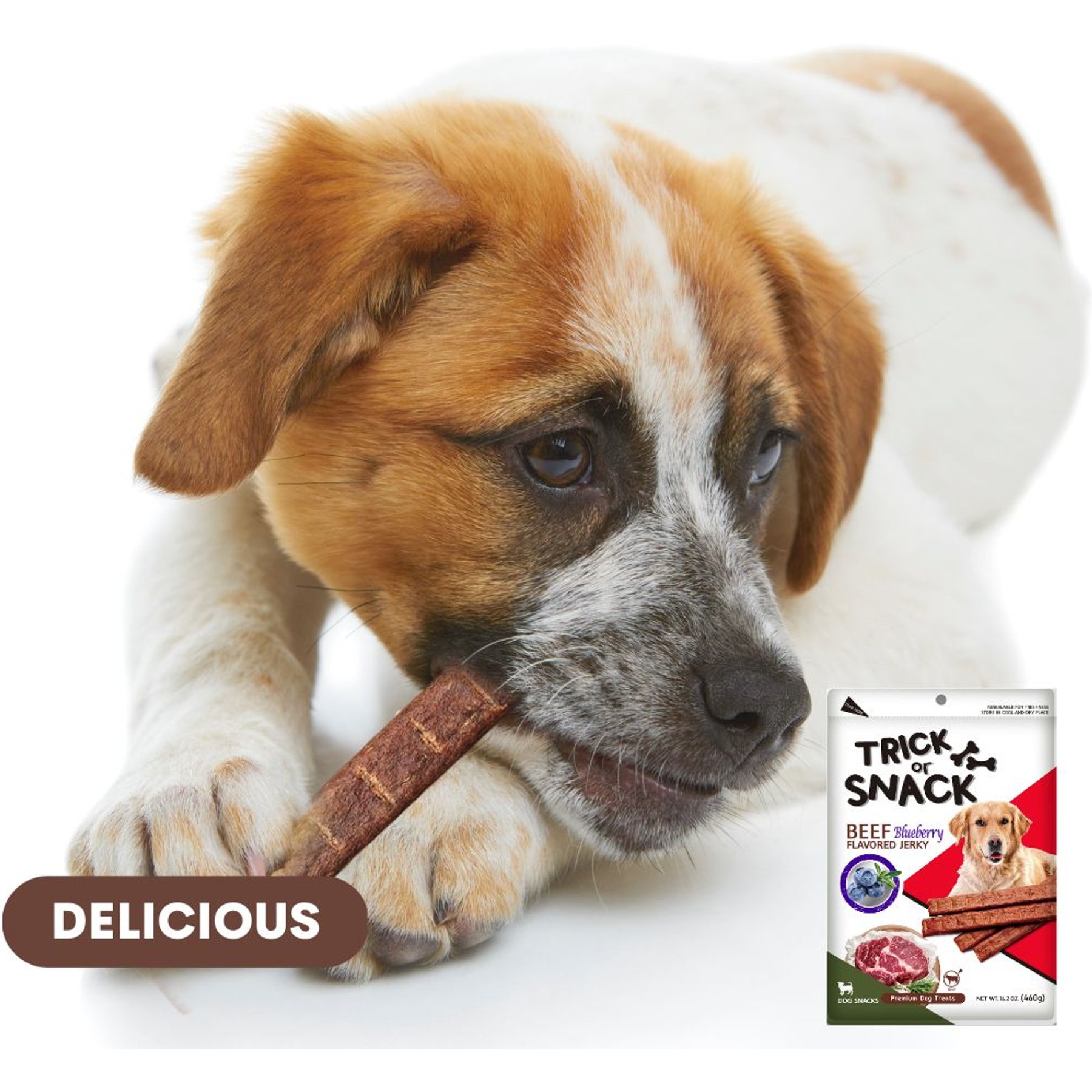Trick or Snack Beef & Blueberry Flavored Jerky Dog Treats, 1-lb bag