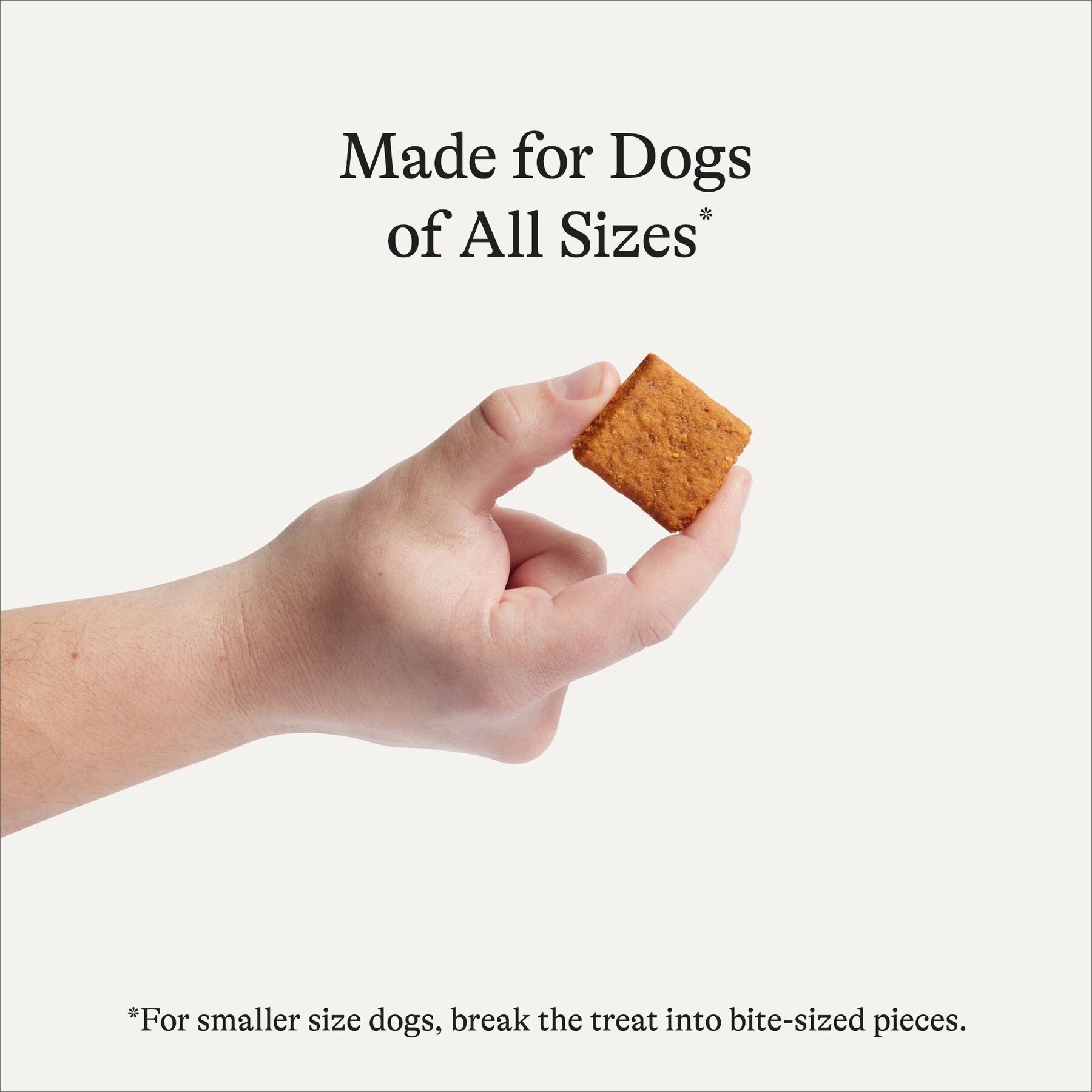 American Journey Peanut Butter Flavor Trail Bites Grain-Free Soft & Chewy Dog Treats, 8-oz bag