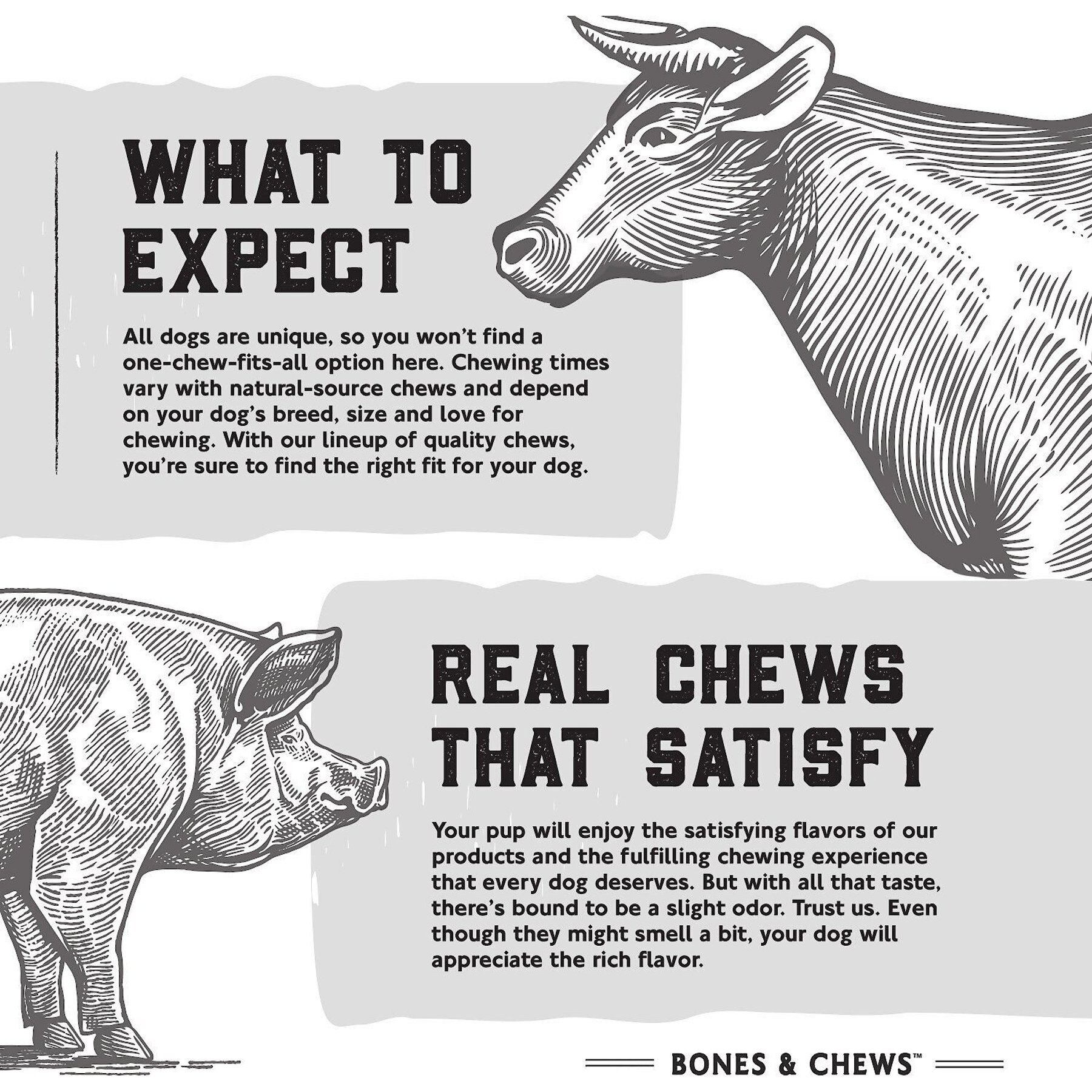 Bones & Chews Bully Strips Dog Treats, Beef