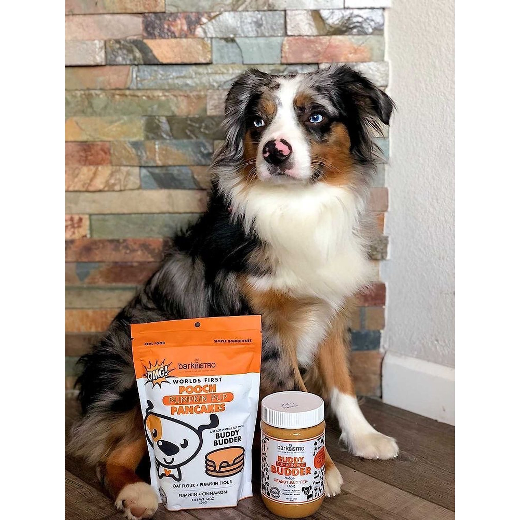 Bark Bistro Company Pooch Pancakes Pumpkin Pup Dog Treat, 14-oz bag