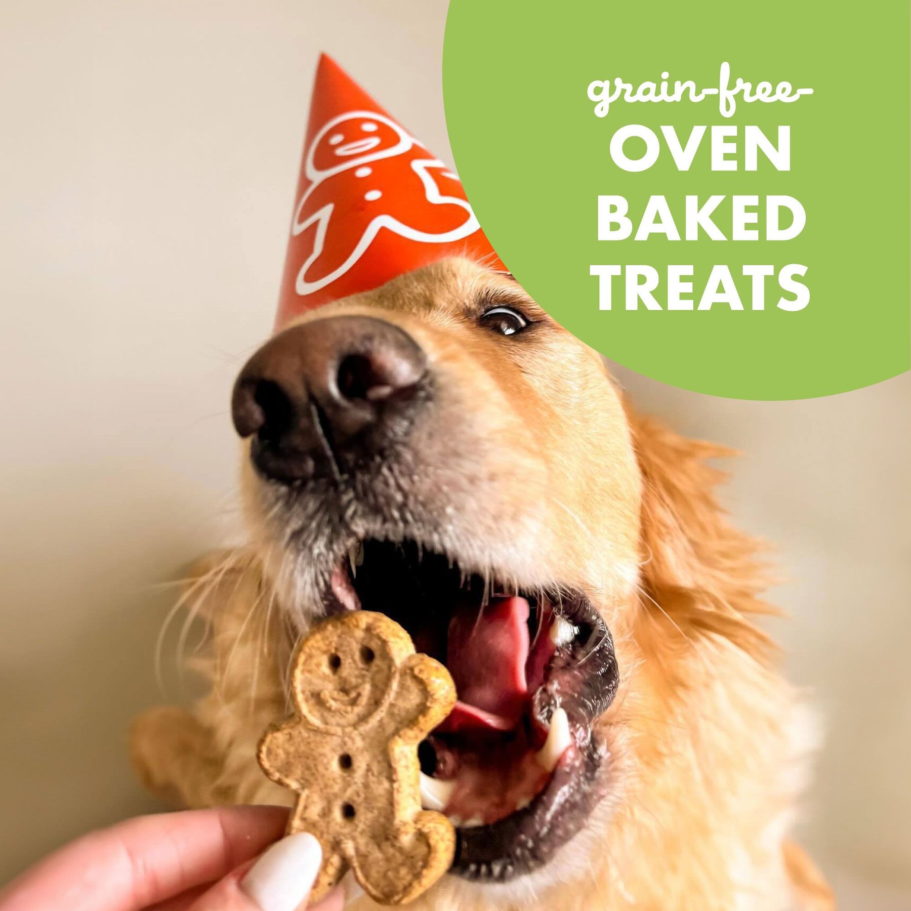 Buddy Biscuits Grain-Free Oven Baked with Rotisserie Chicken Dog Treats