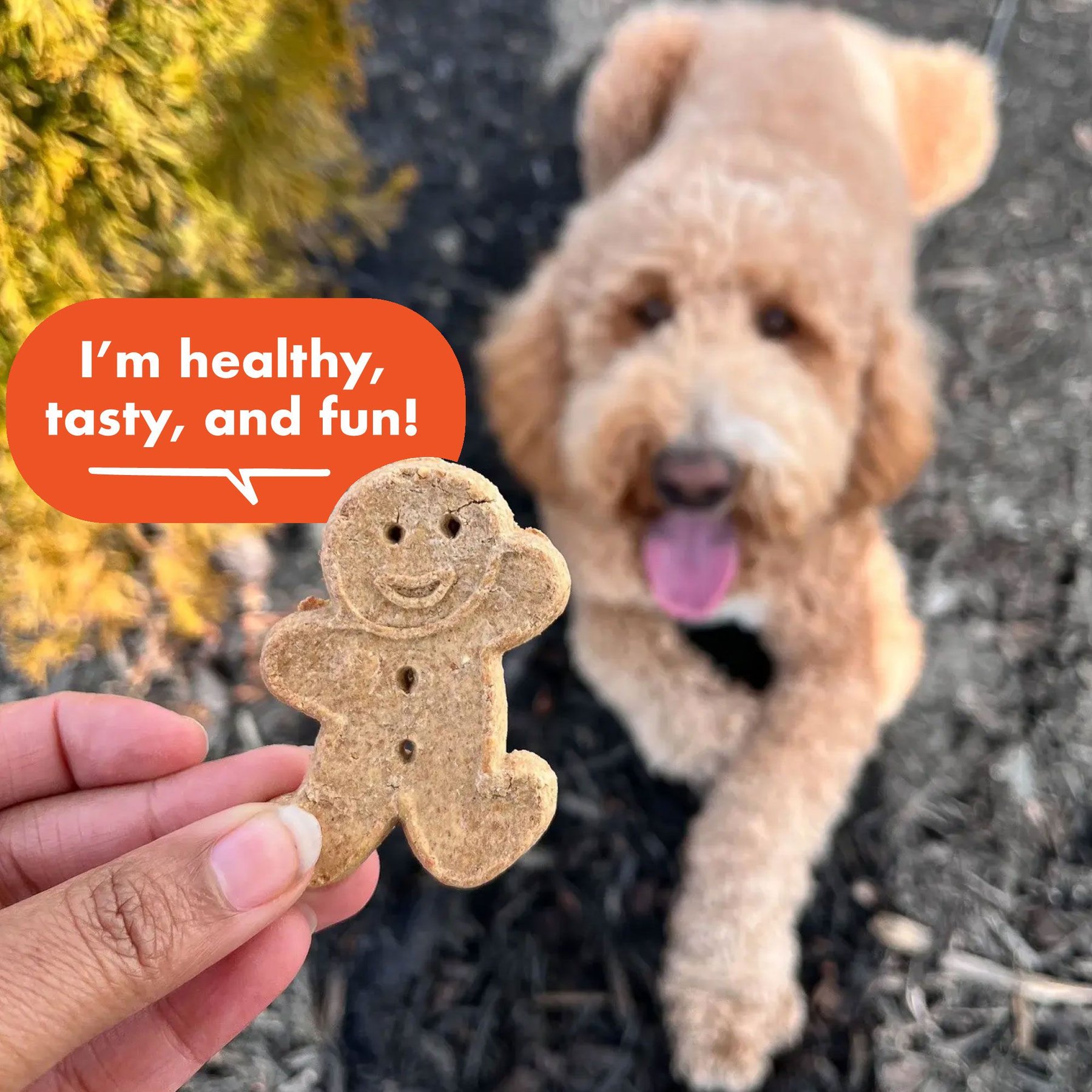 Buddy Biscuits Grain-Free Oven Baked with Homestyle Peanut Butter Dog Treats