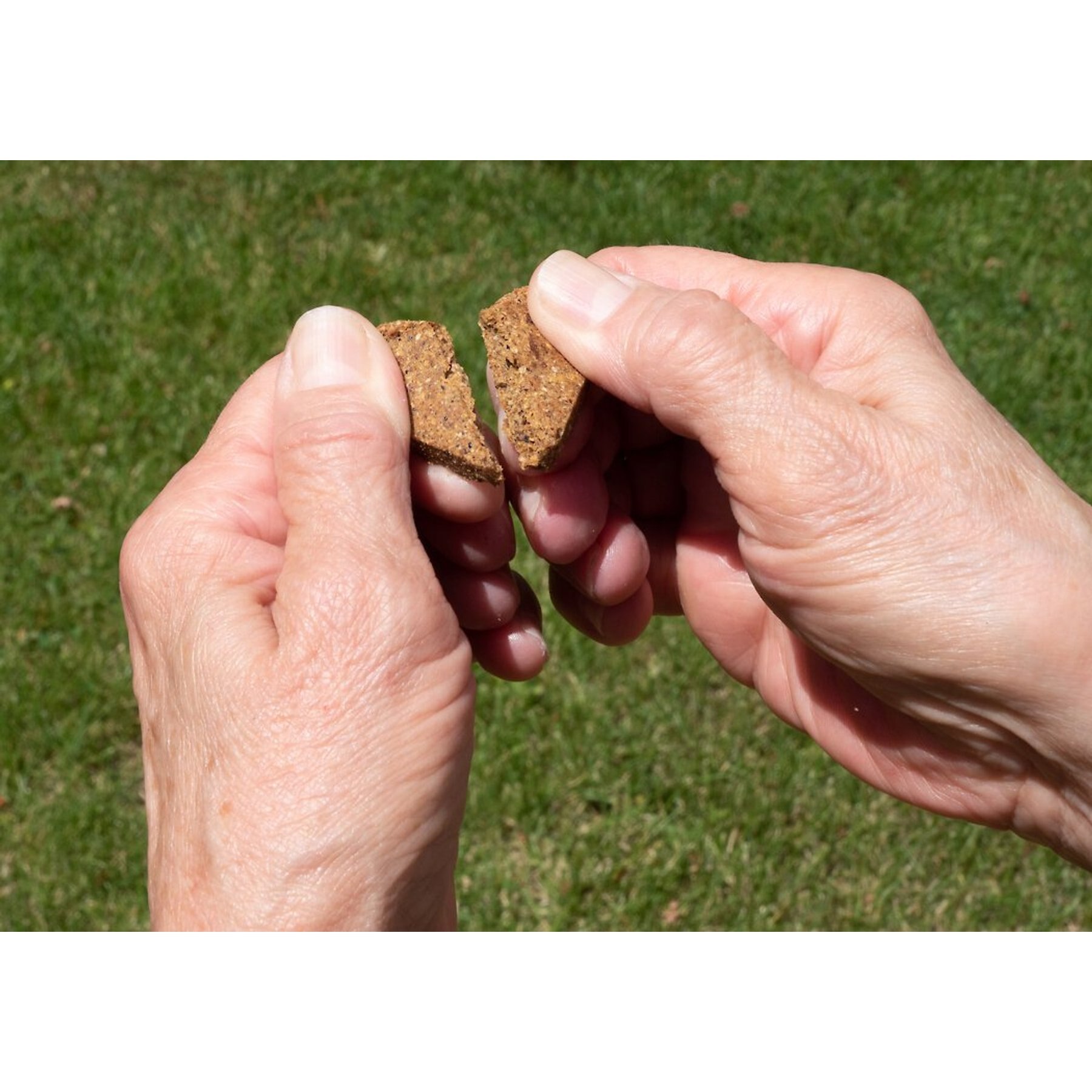 Darford Zero/G Minis Grain-Free Roasted Chicken Dog Treats