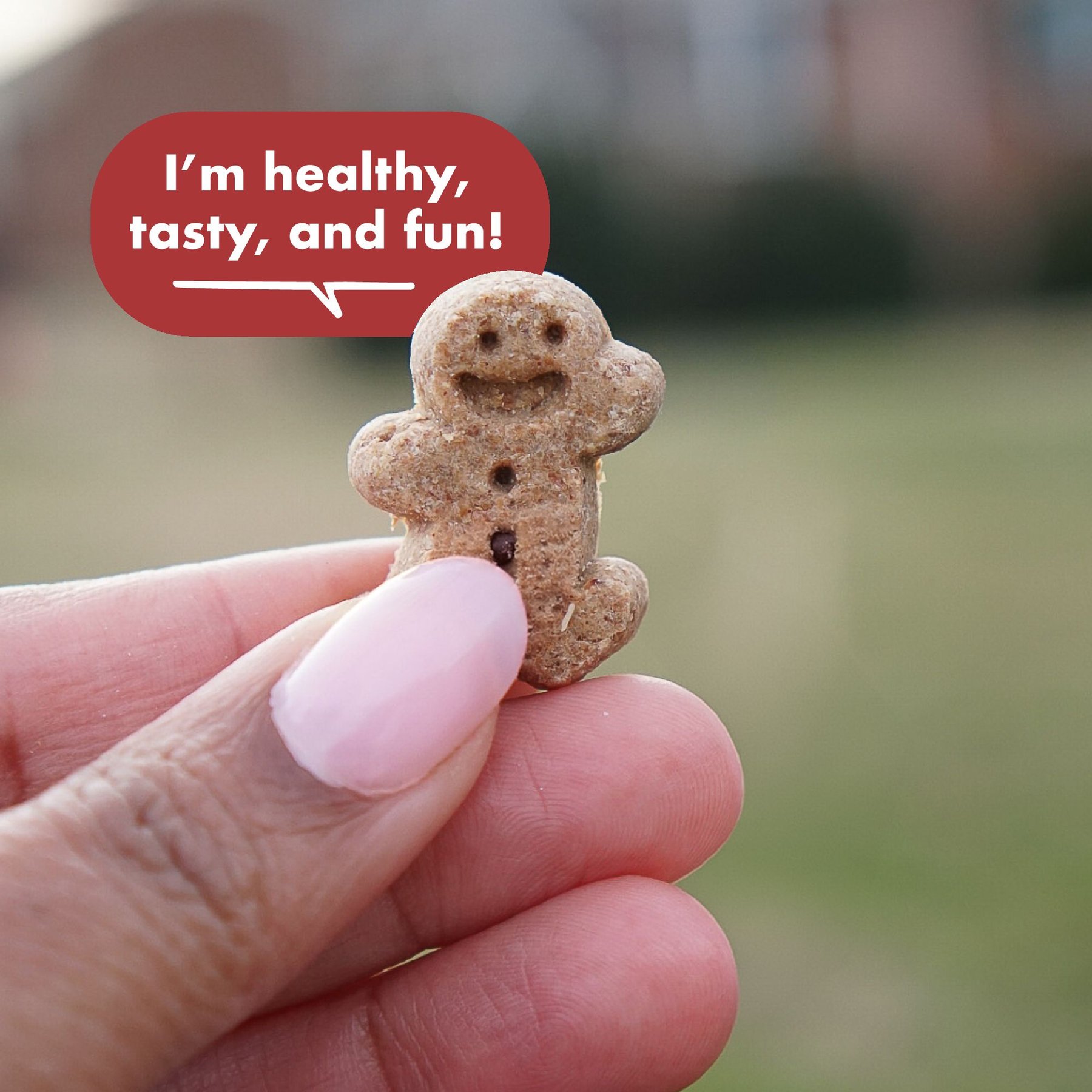 Buddy Biscuits Grain-Free Soft & Chewy with Grilled Beef Dog Treats