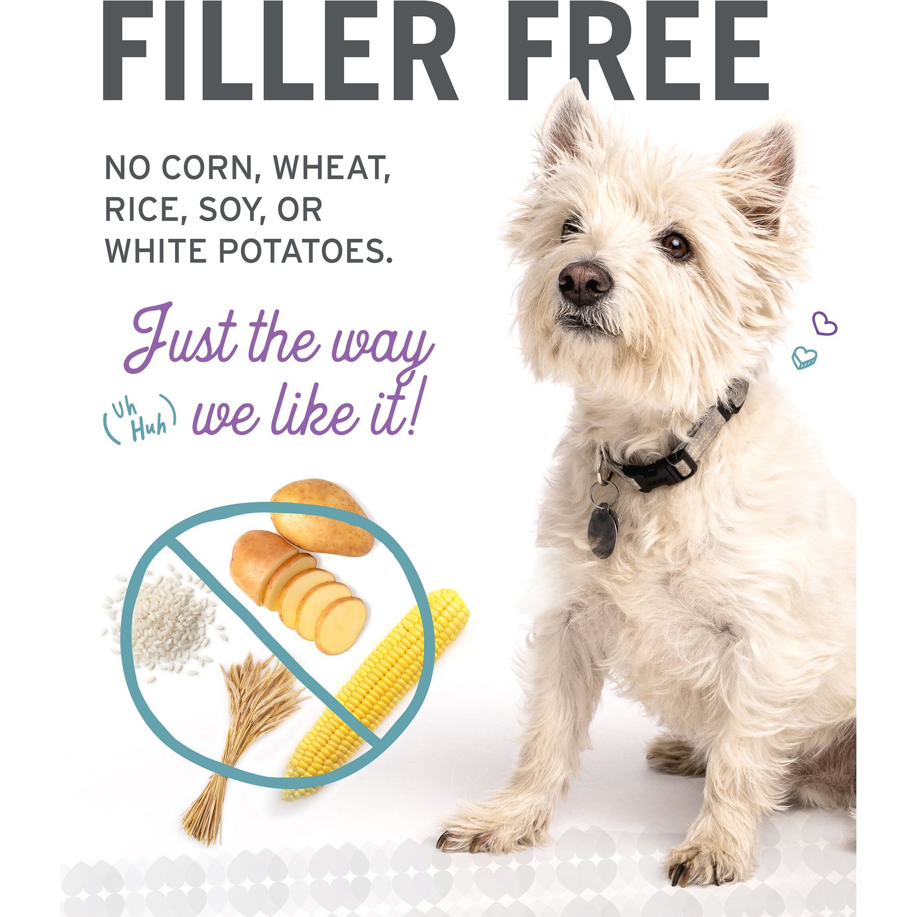 I and Love and You Cluckin' Good Stew Grain-Free Canned Dog Food