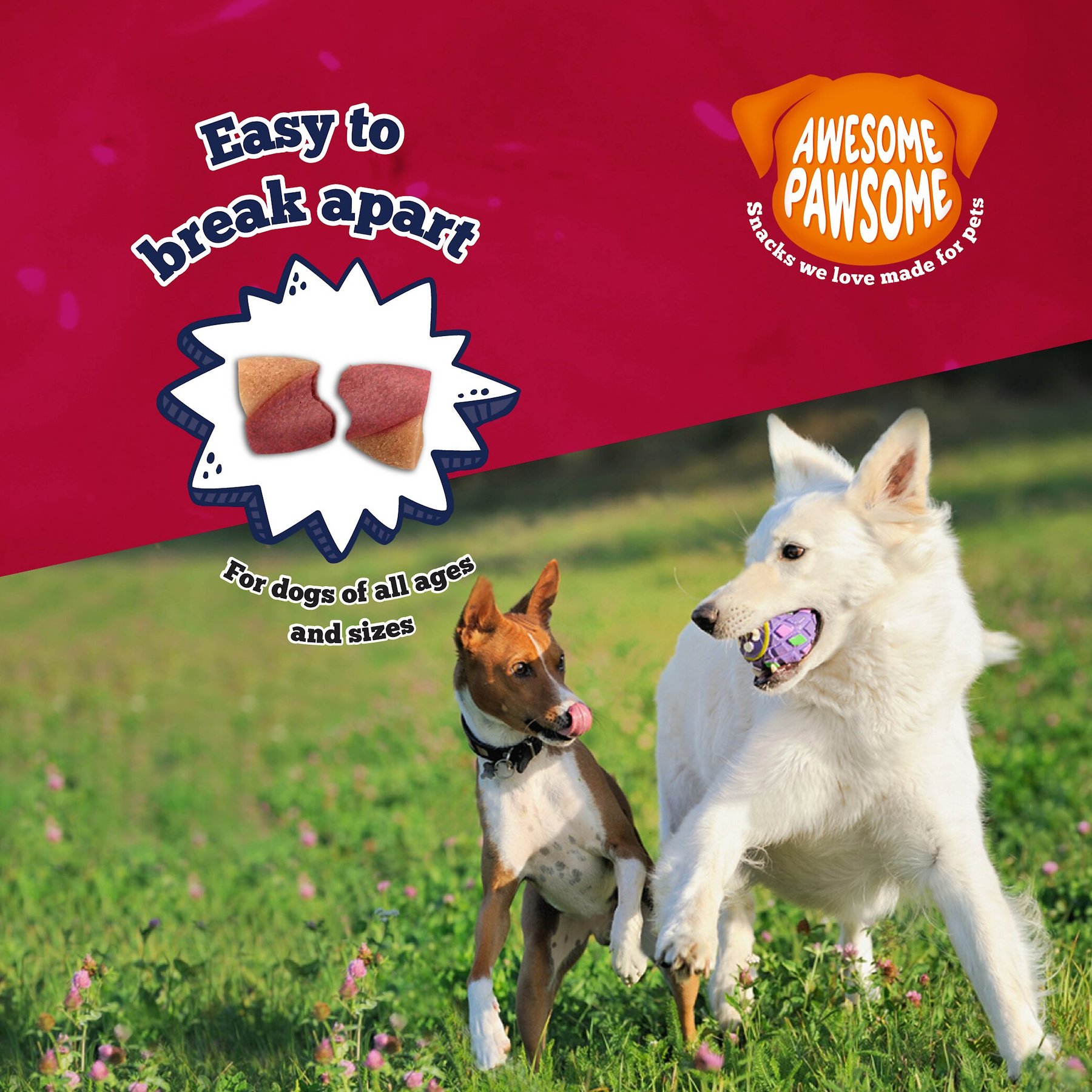 Awesome Pawsome Peanut Butter & Cranberry Dog Treats, 3-oz bag